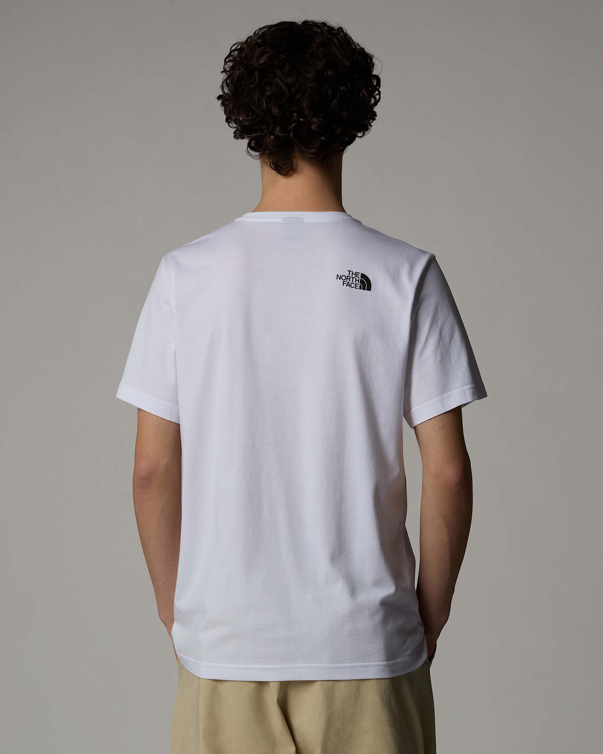 Mens Graphic Half Dome TShirt TNF ALT2