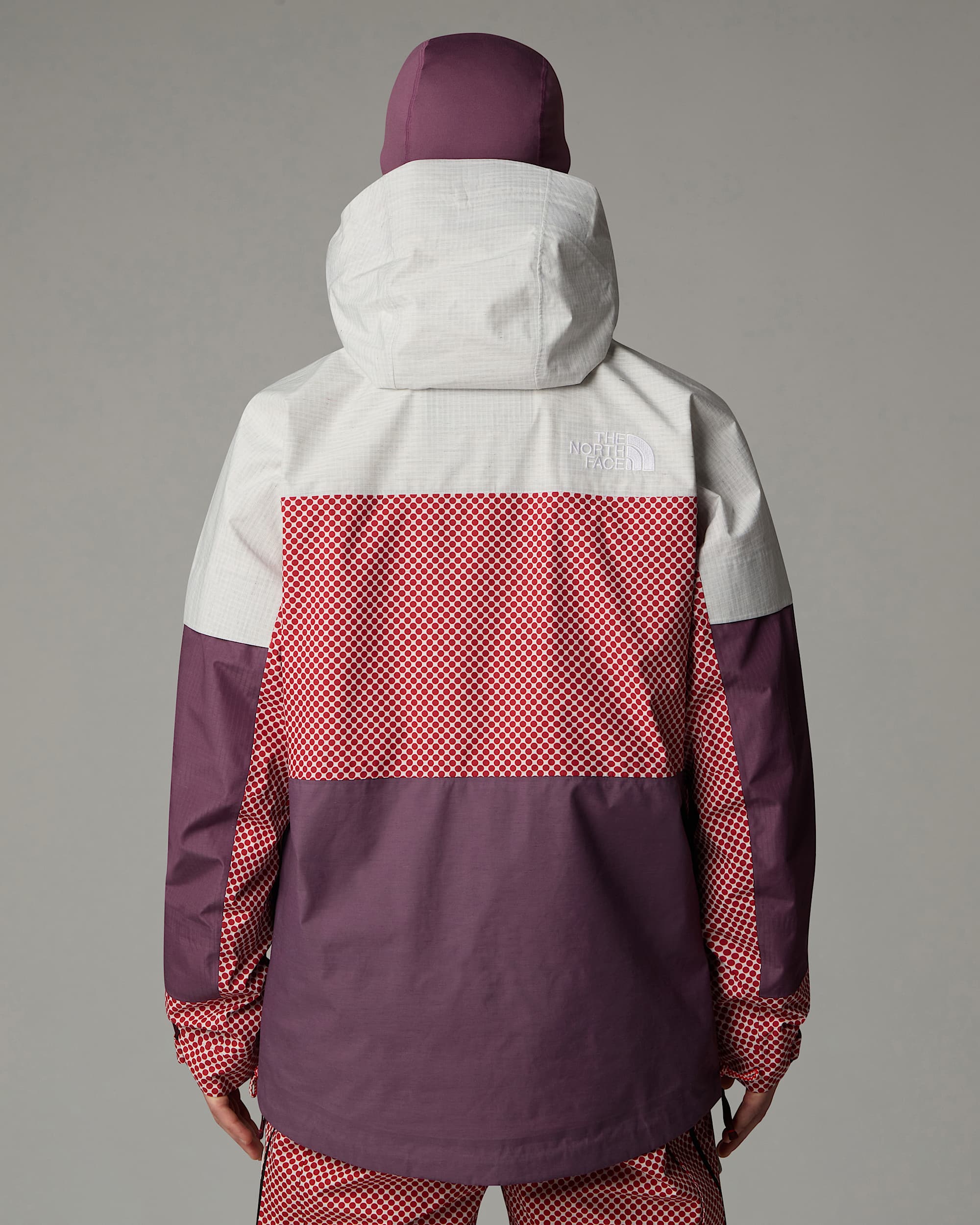A68a DryVent Monoshelljas voor heren TNF TNF RedMidnight Mauve ALT5