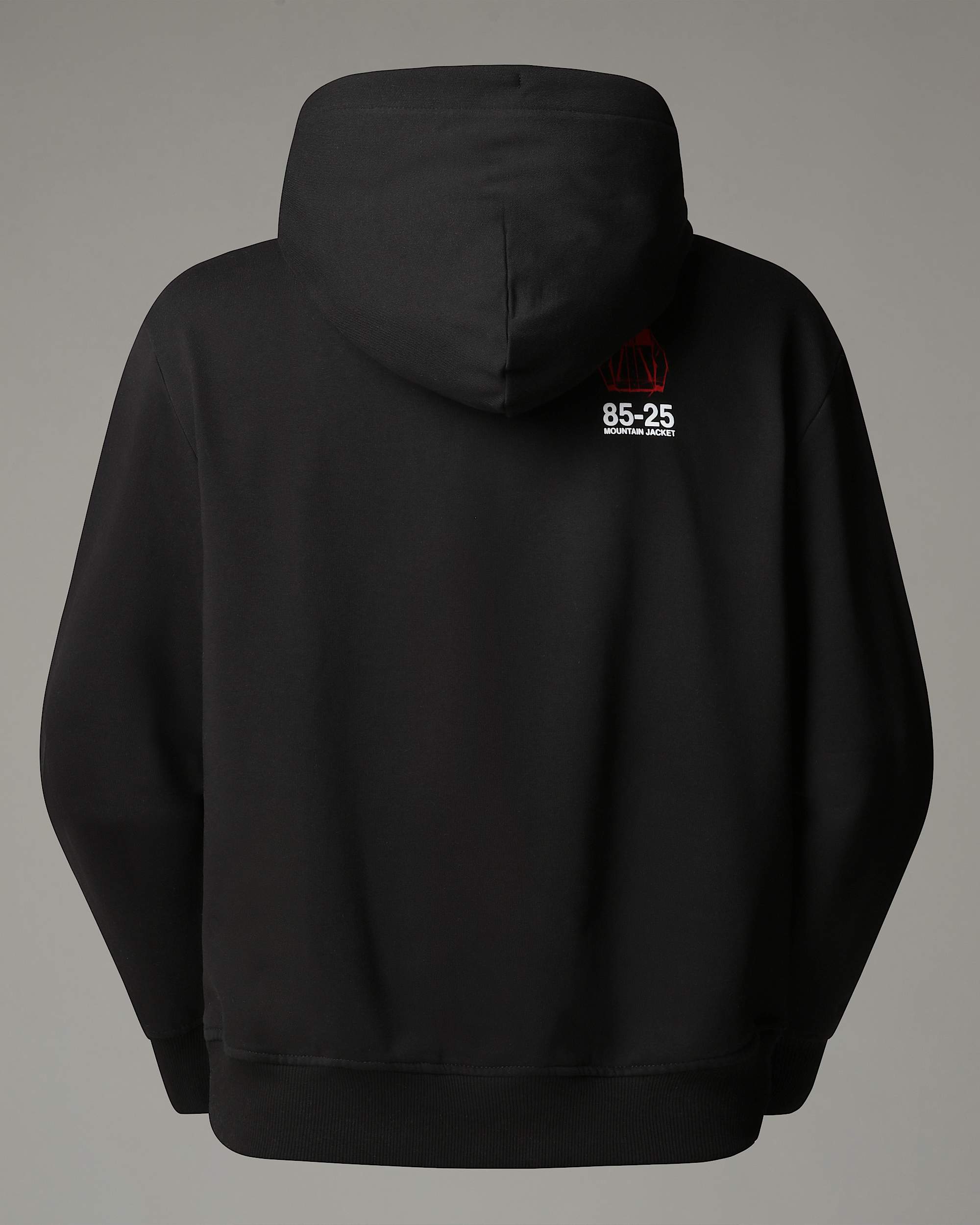 Mountain Jacket Anniversary Relaxed Hoodie TNF alt21