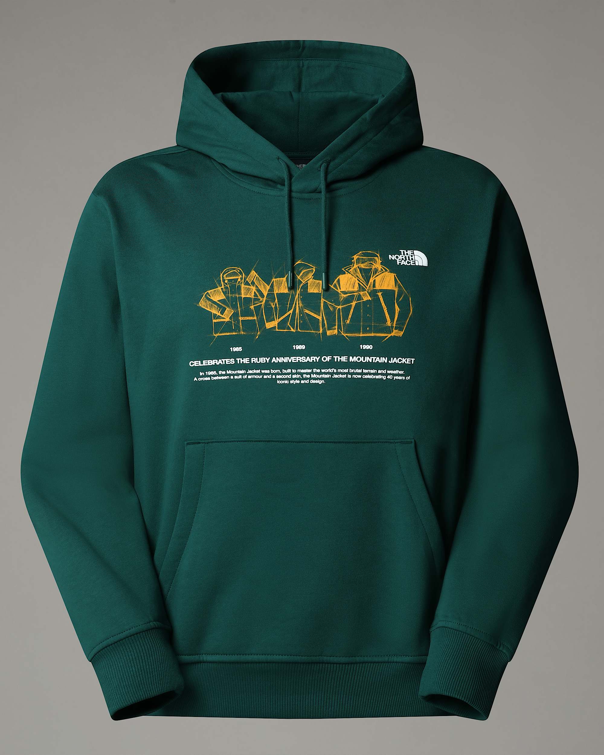 Sweat  capuche dcontract Mountain Jacket Anniversary TNF ALT20