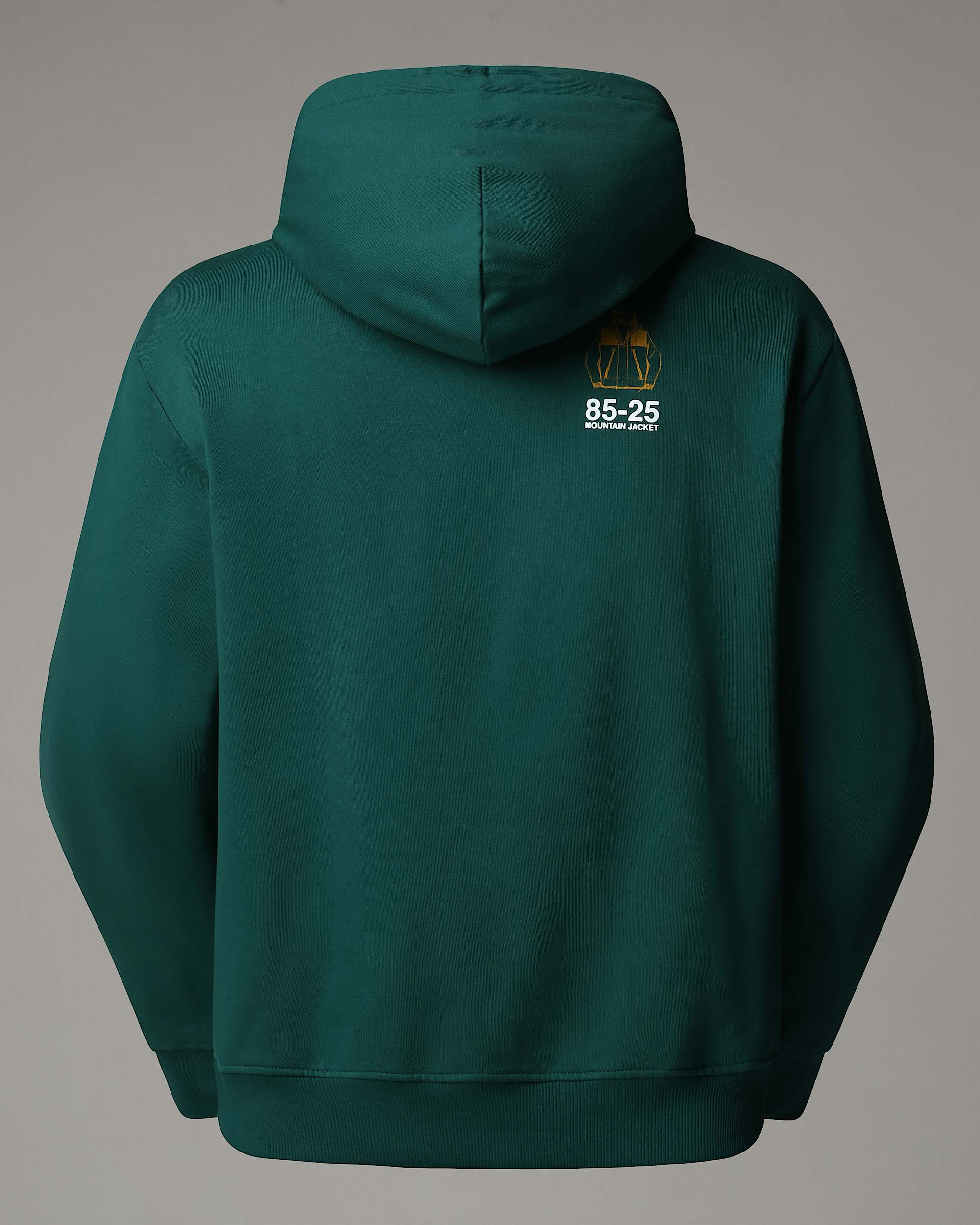 Sweat  capuche dcontract Mountain Jacket Anniversary TNF ALT21
