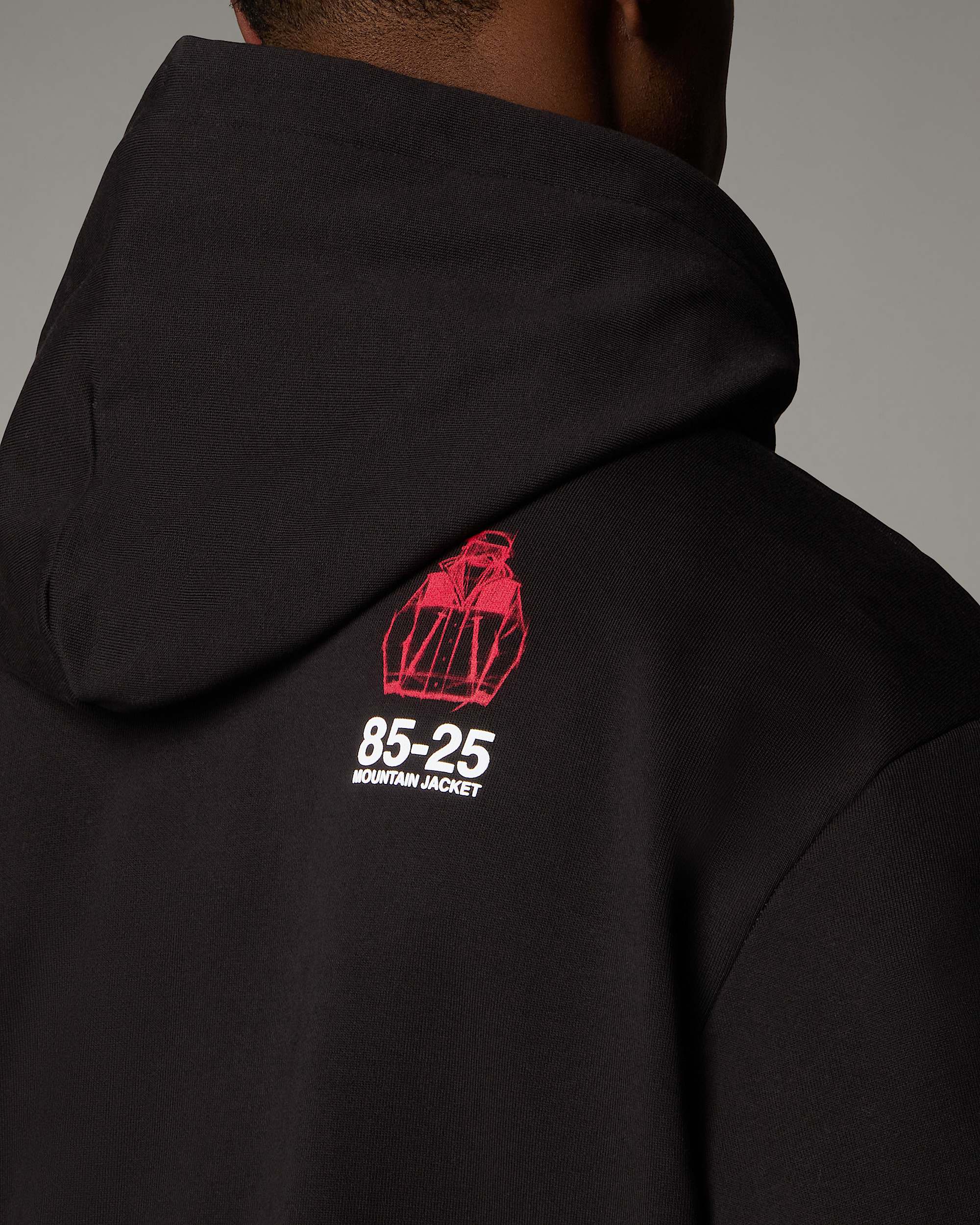 Mountain Jacket Anniversary Relaxed Hoodie TNF alt6