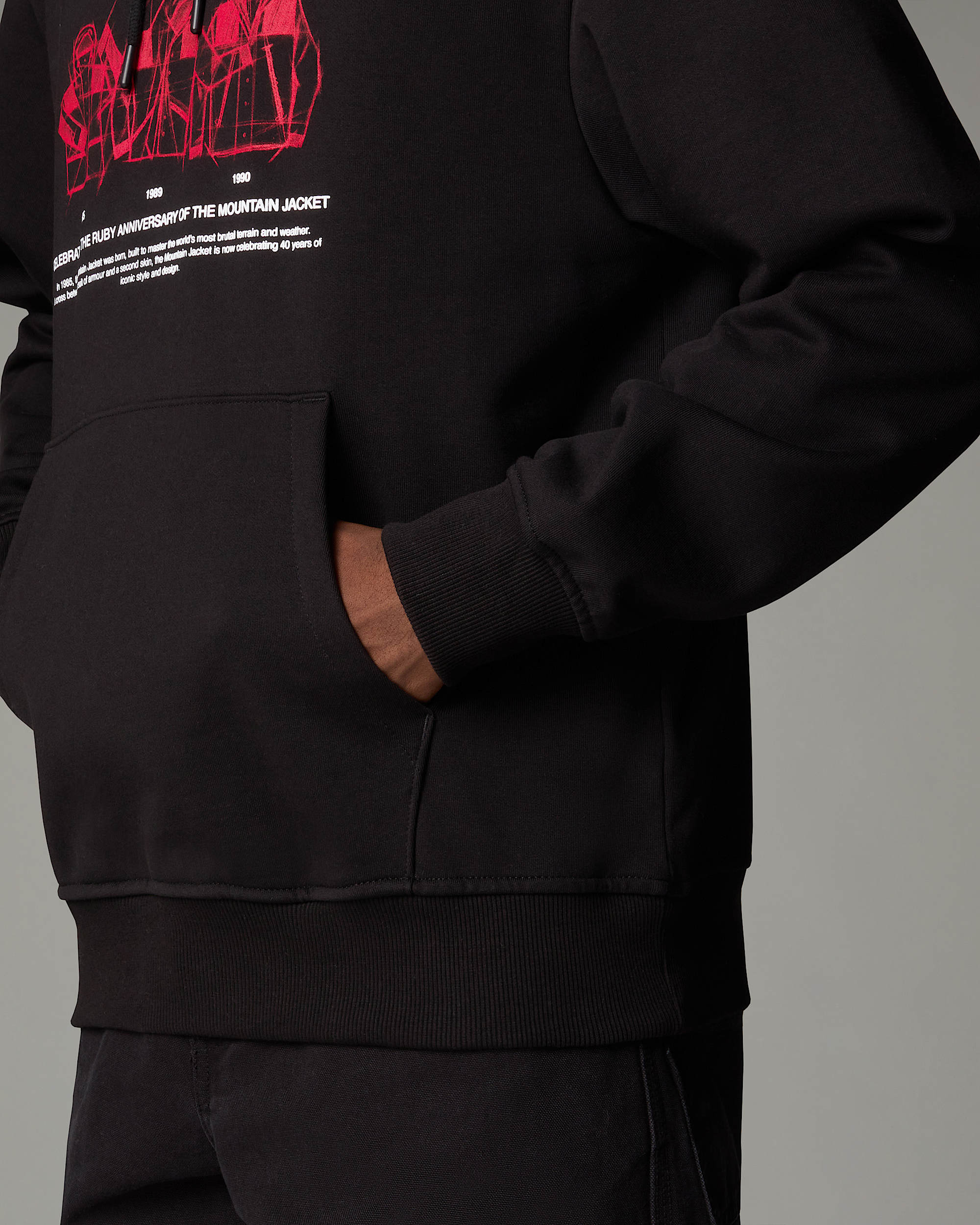 Mountain Jacket Anniversary Relaxed Hoodie TNF alt7