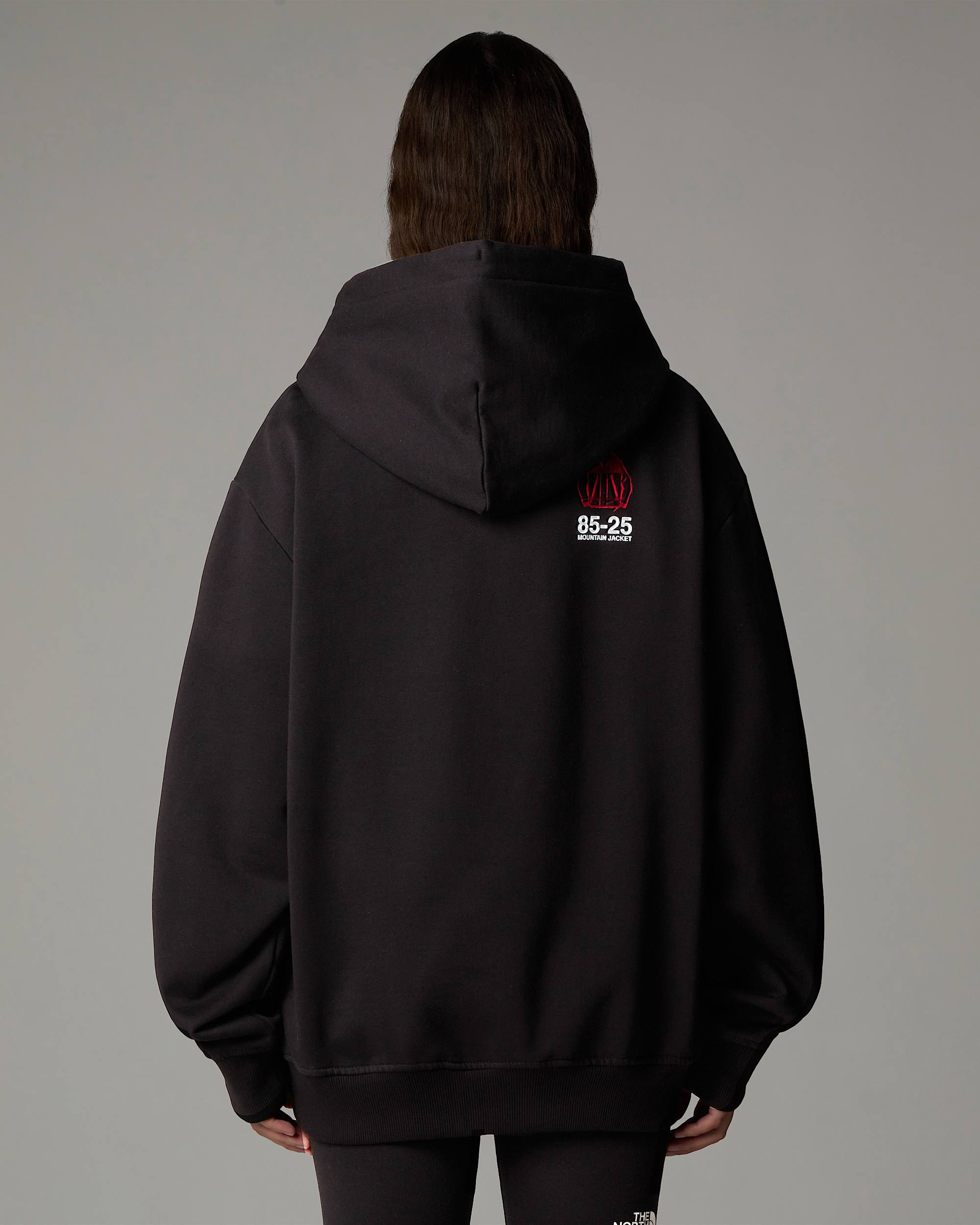 Mountain Jacket Anniversary Relaxed Hoodie TNF alt10