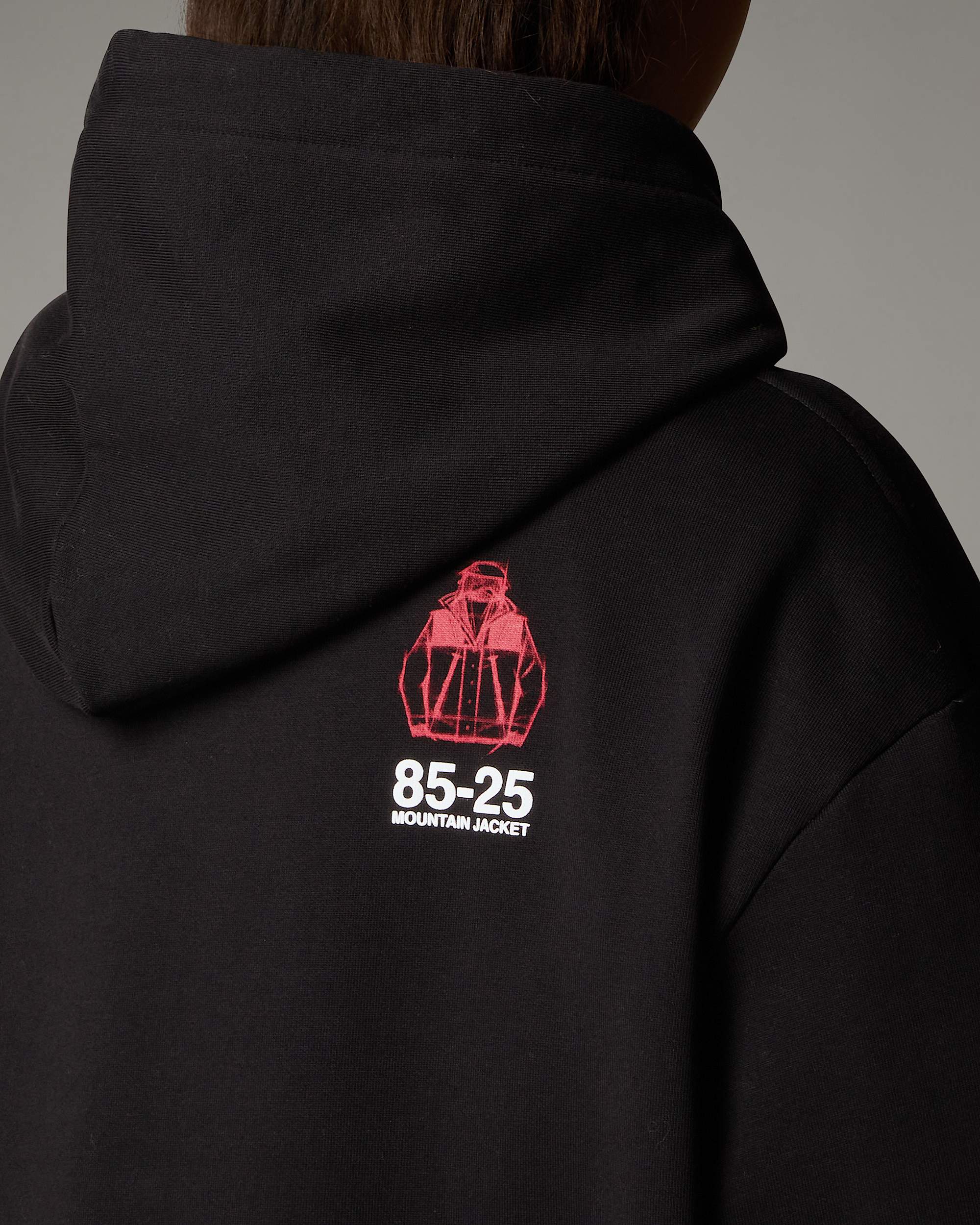 Mountain Jacket Anniversary Relaxed Hoodie TNF alt12