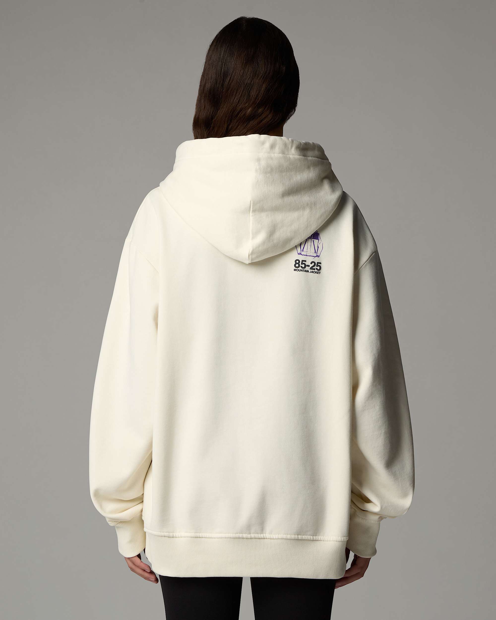 Sudadera holgada con capucha Mountain Jacket Anniversary TNF alt4