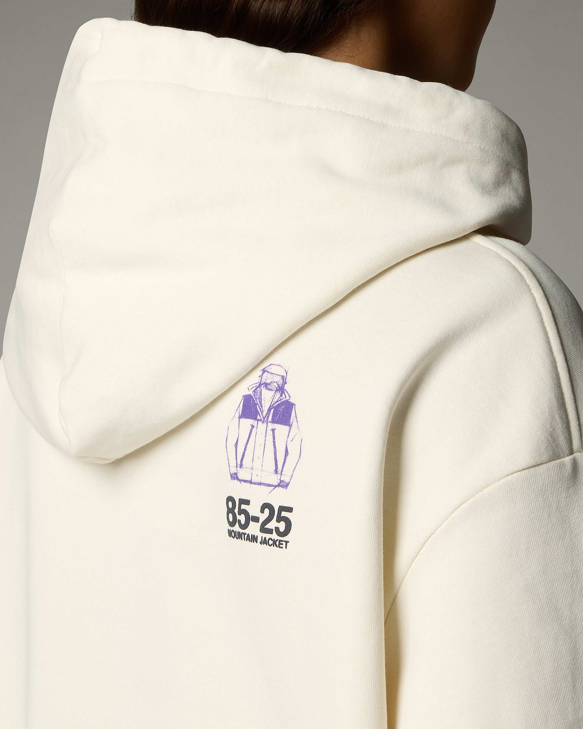 Sudadera holgada con capucha Mountain Jacket Anniversary TNF alt6