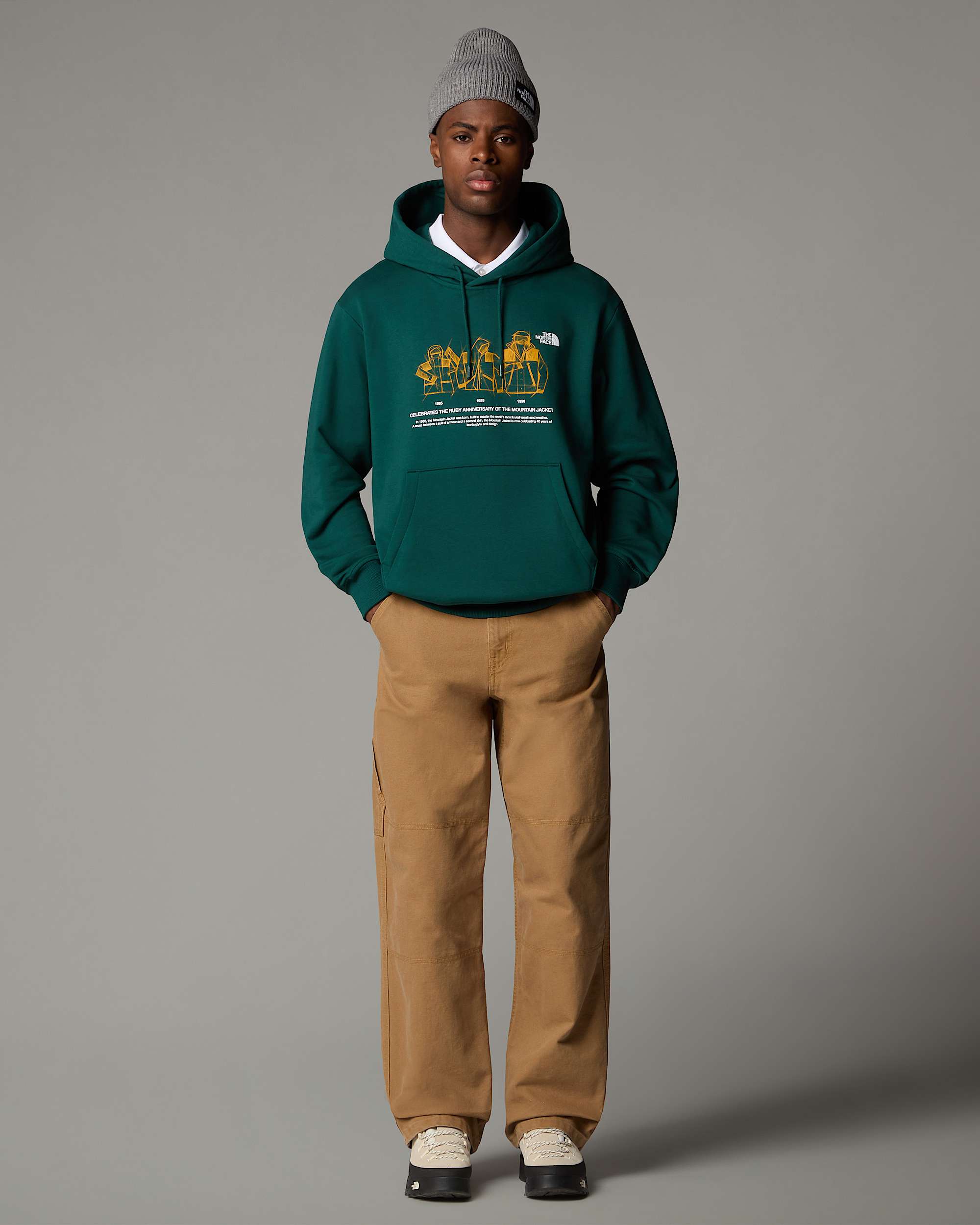 Sweat  capuche dcontract Mountain Jacket Anniversary TNF ALT3