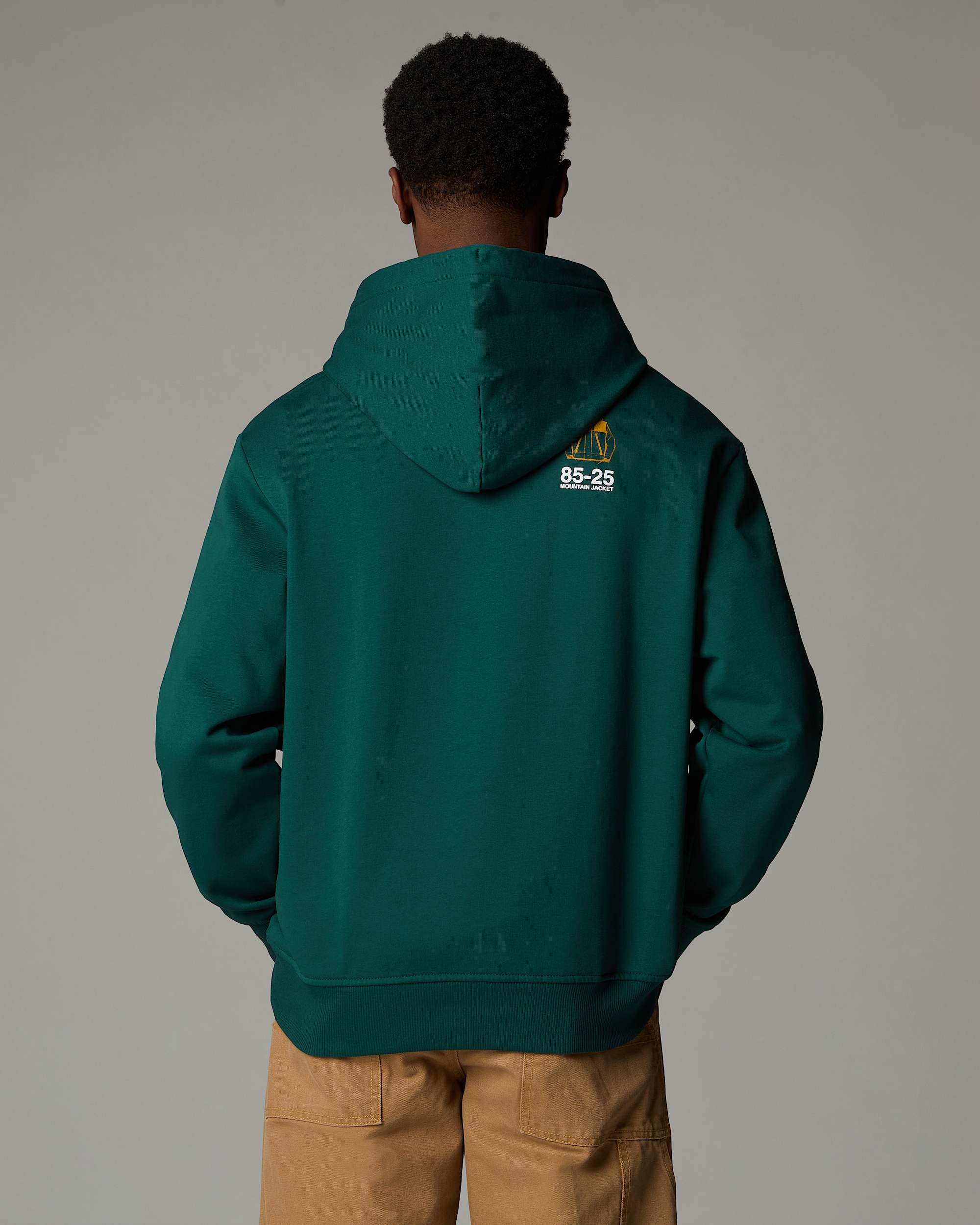 Sweat  capuche dcontract Mountain Jacket Anniversary TNF ALT4
