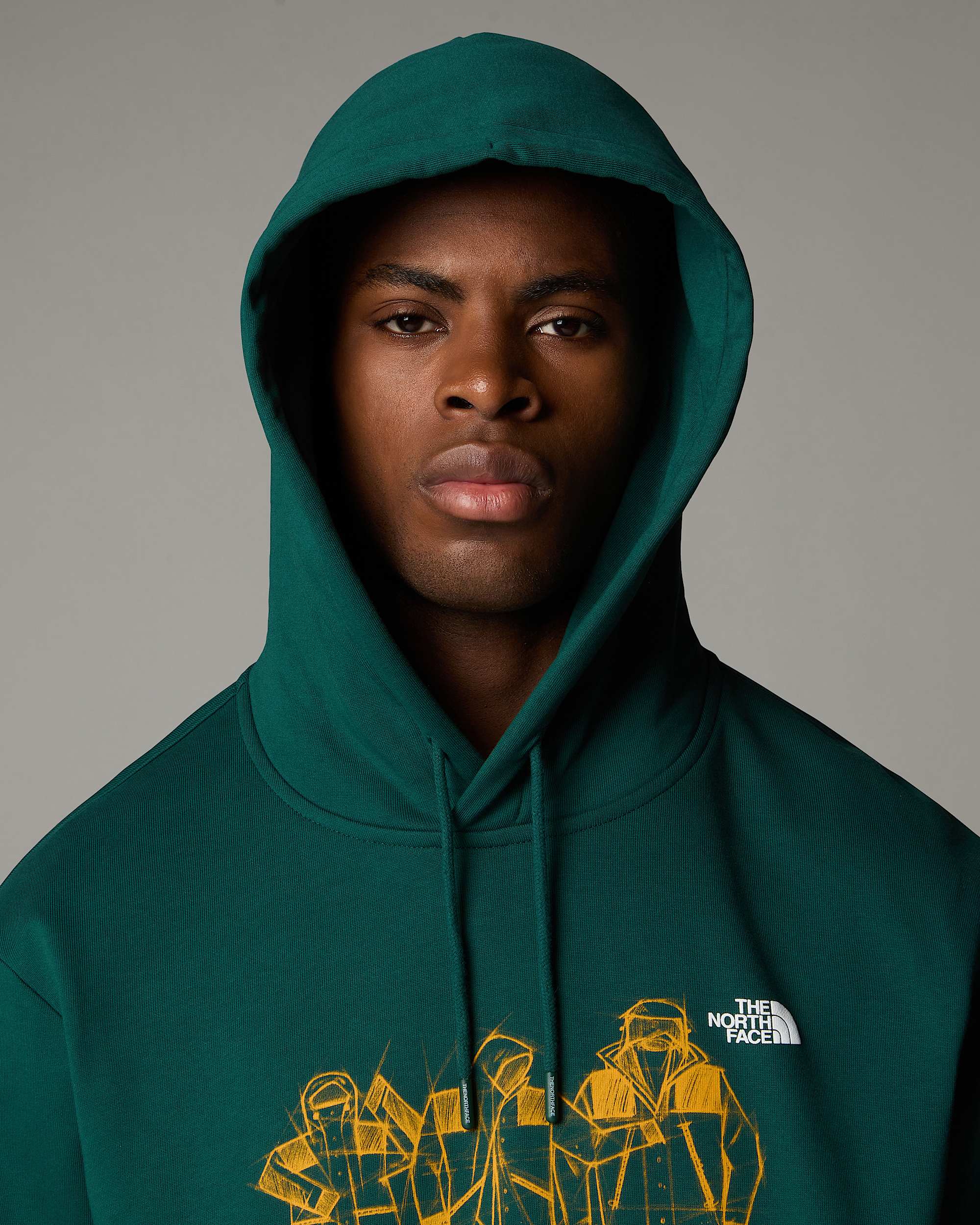 Sweat  capuche dcontract Mountain Jacket Anniversary TNF ALT5