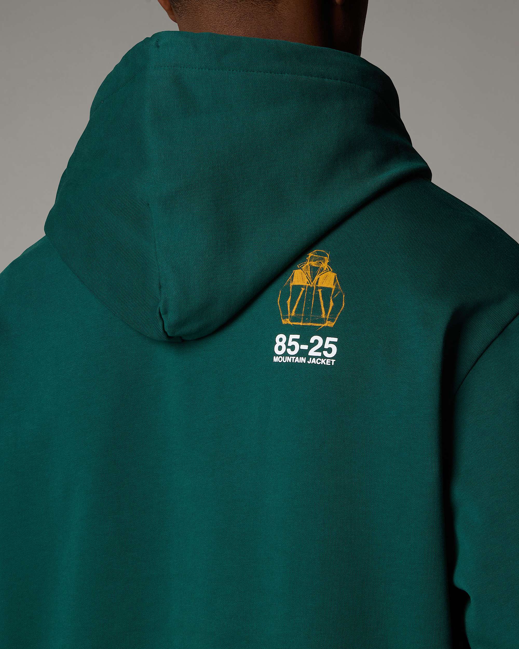 Sweat  capuche dcontract Mountain Jacket Anniversary TNF ALT6
