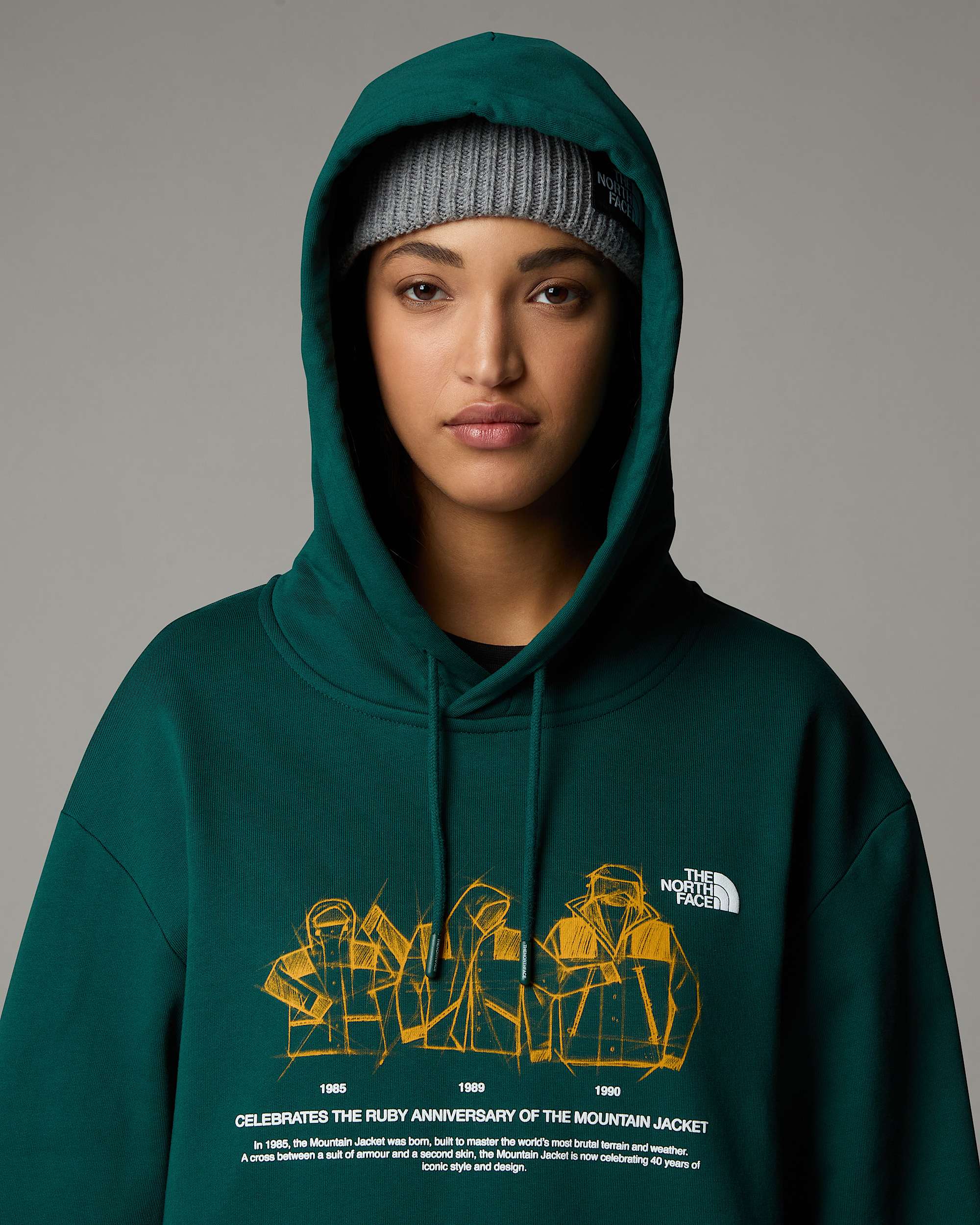 Sweat  capuche dcontract Mountain Jacket Anniversary TNF ALT11