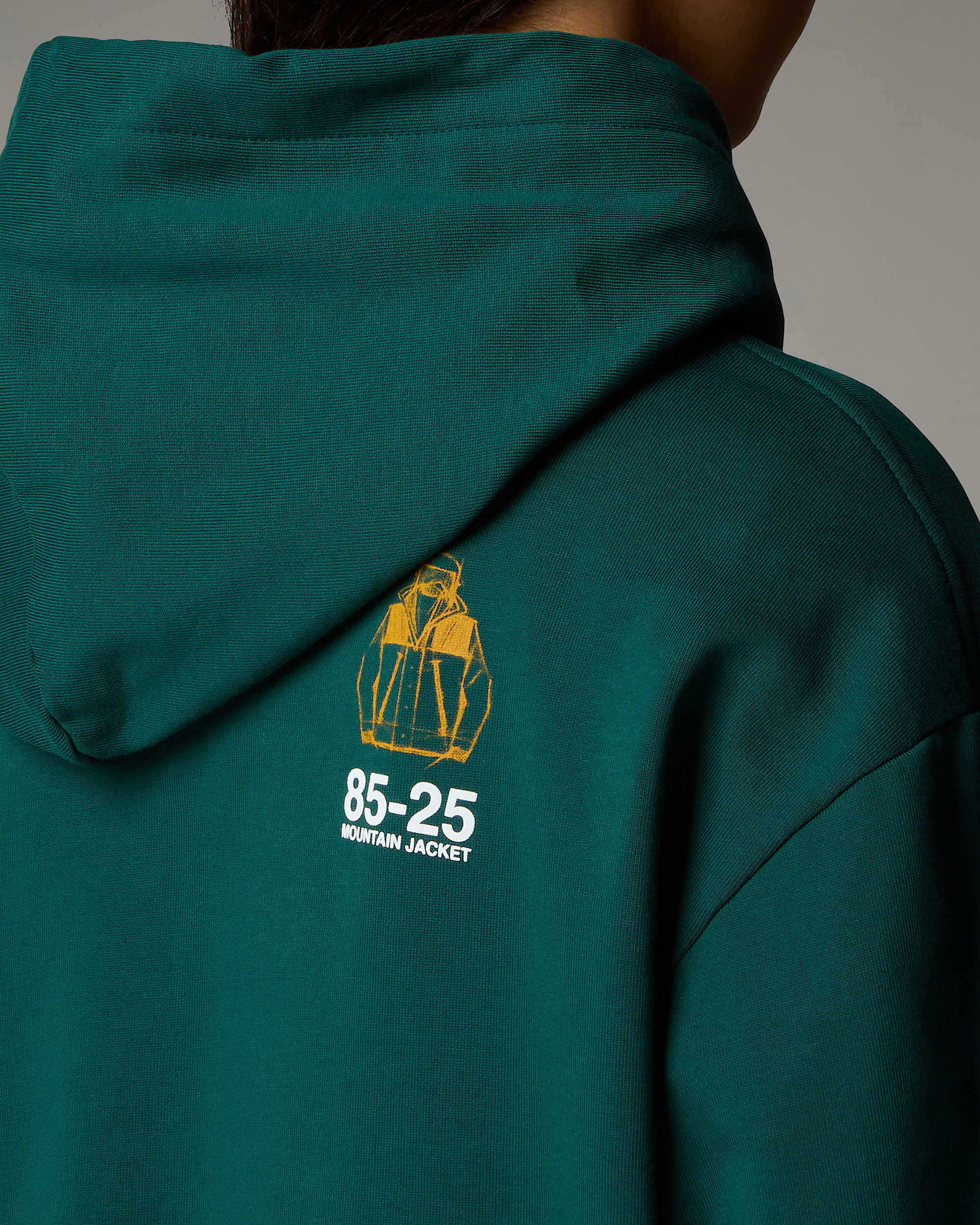 Sweat  capuche dcontract Mountain Jacket Anniversary TNF ALT12