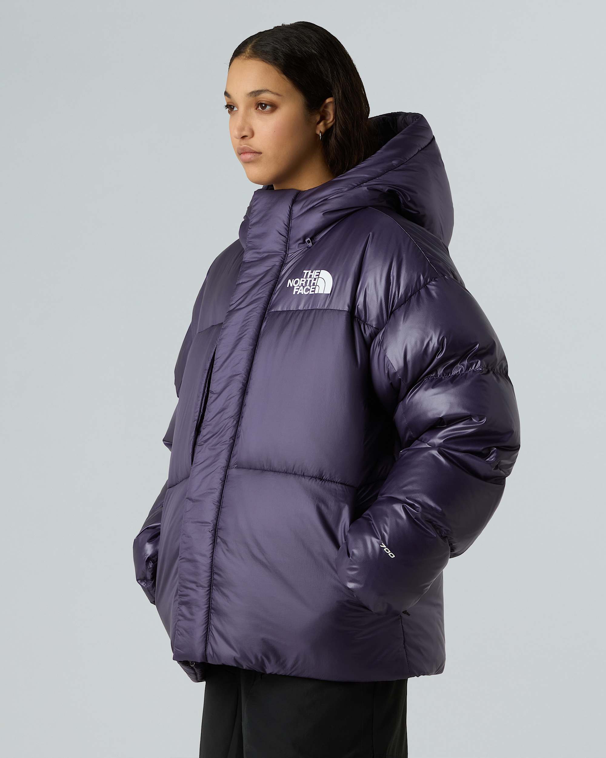 Veste en duvet et Pertex unisexe TNF ALT9