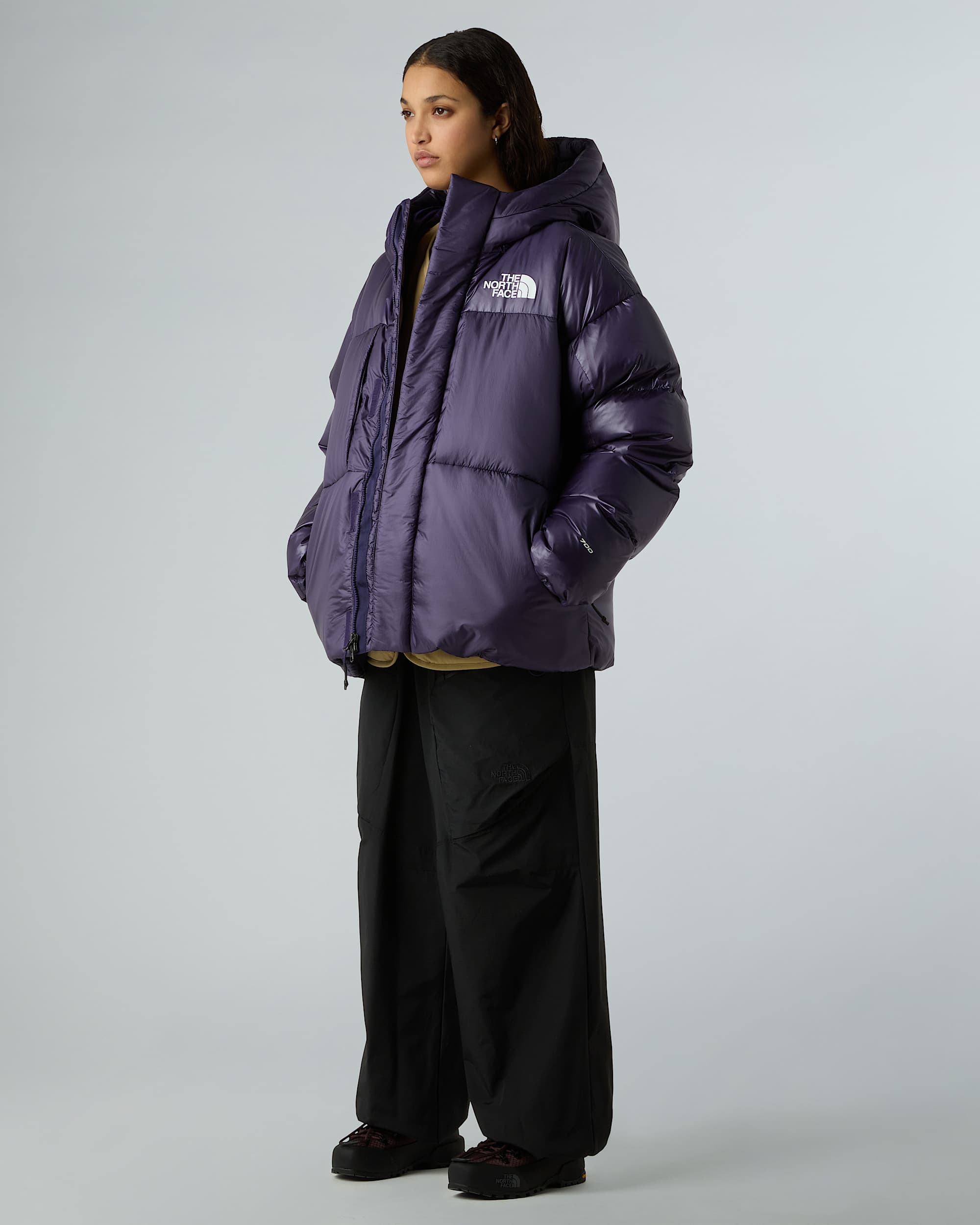 Veste en duvet et Pertex unisexe TNF ALT10