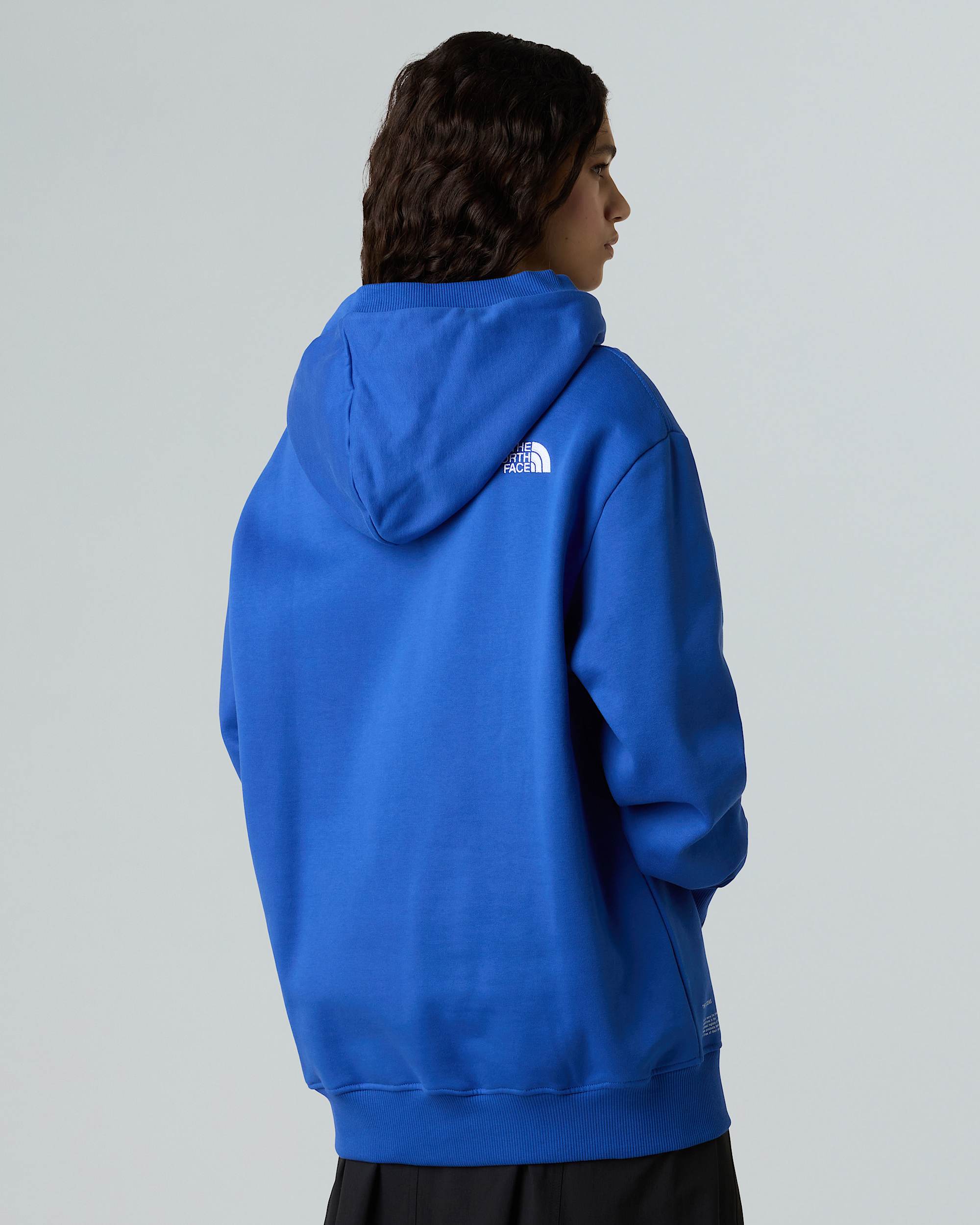 Unisex Icon Relaxed Hoodie TNF ALT10