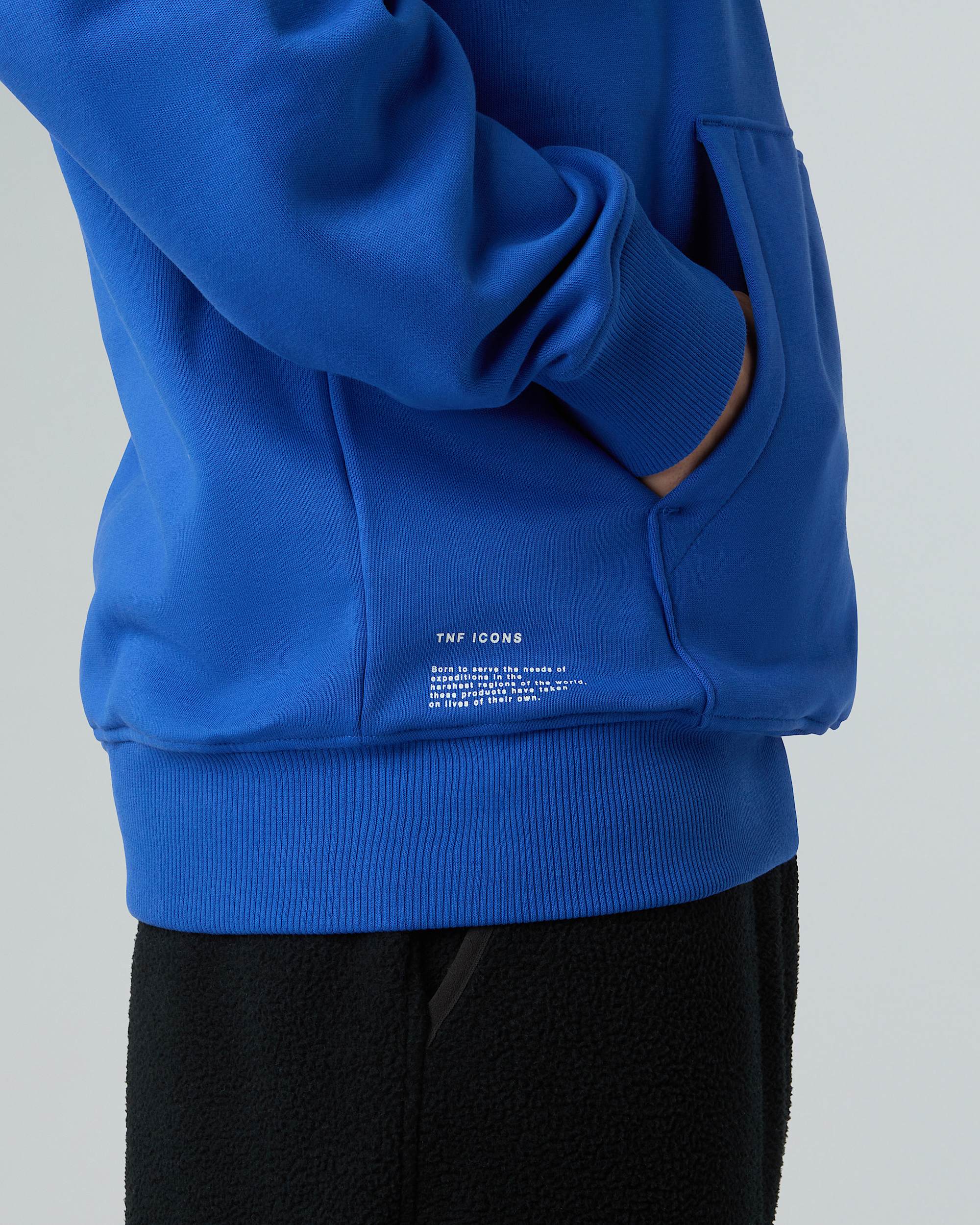 Unisex Icon Relaxed Hoodie TNF ALT7