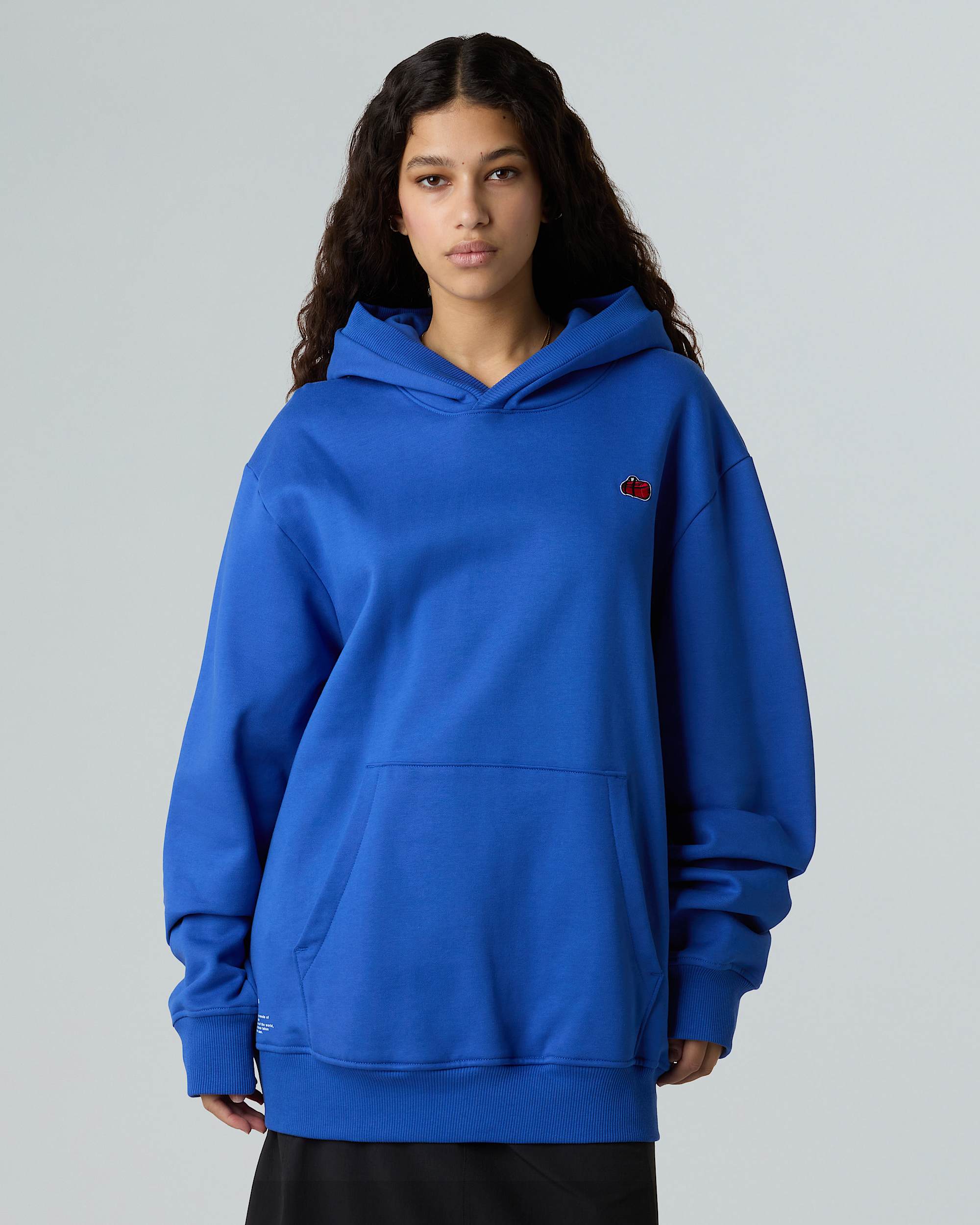 Unisex Icon Relaxed Hoodie TNF ALT8