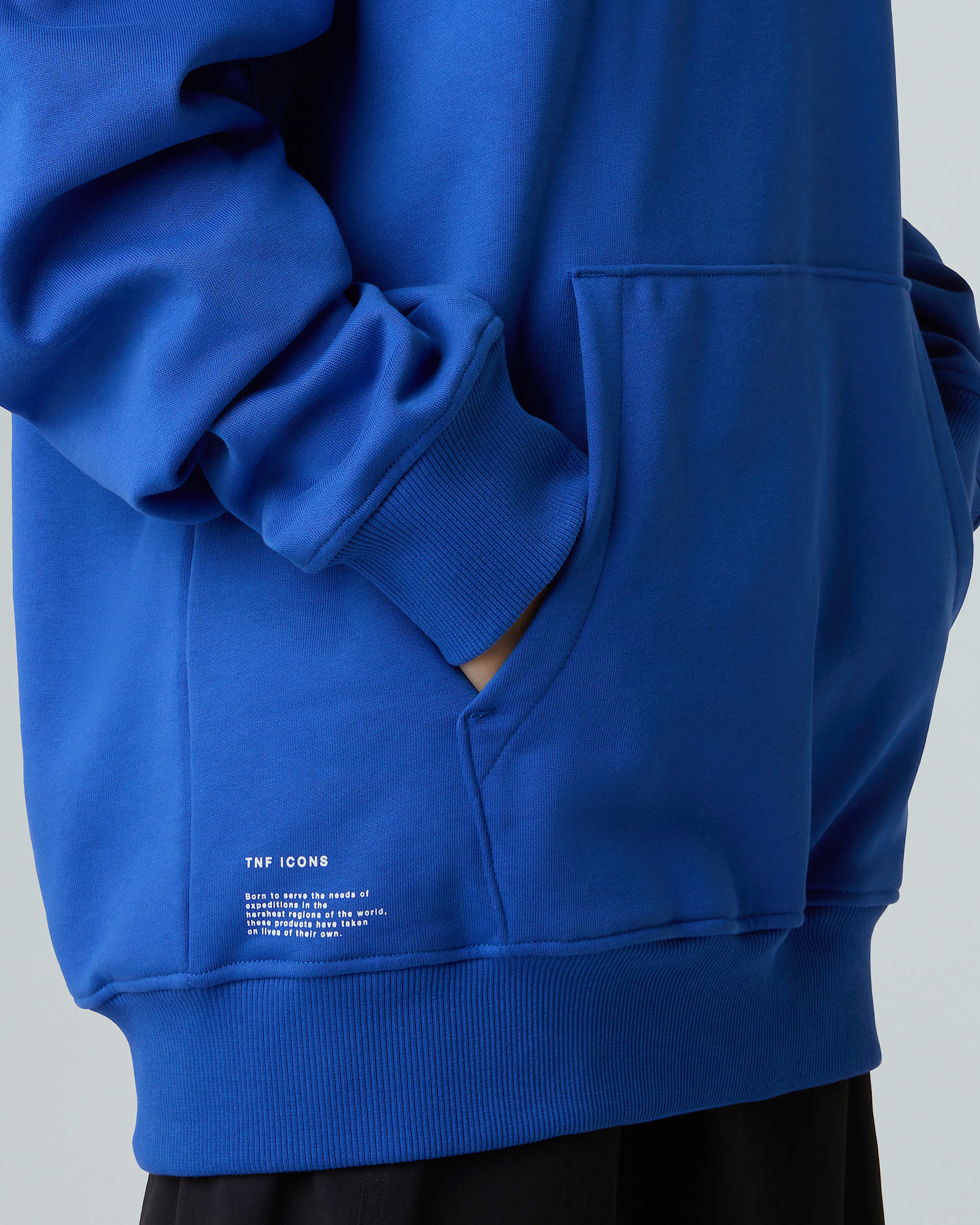 Unisex Icon Relaxed Hoodie TNF ALT12