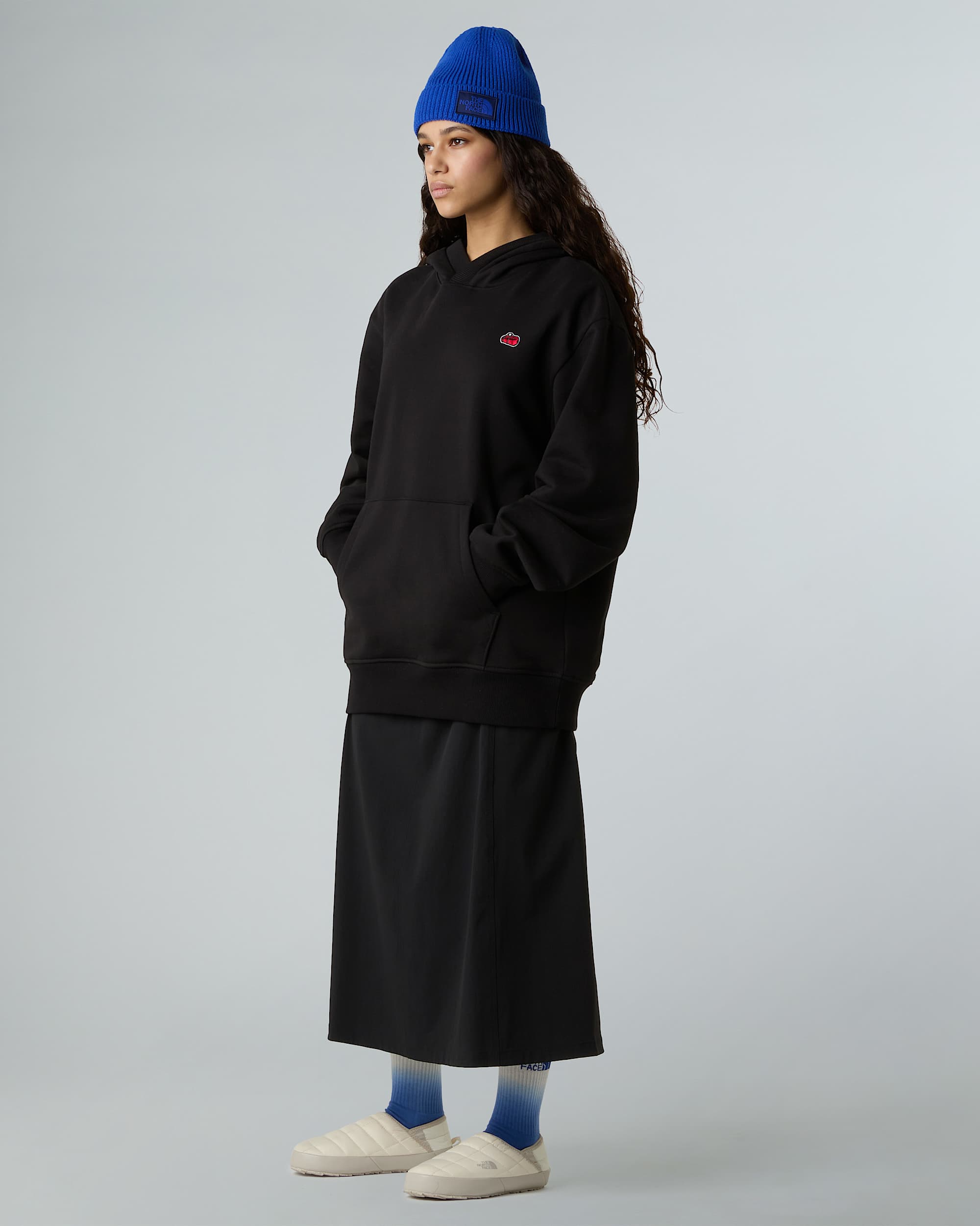 Icon relaxt geschnittener Kapuzenpulli in Unisex TNF alt9