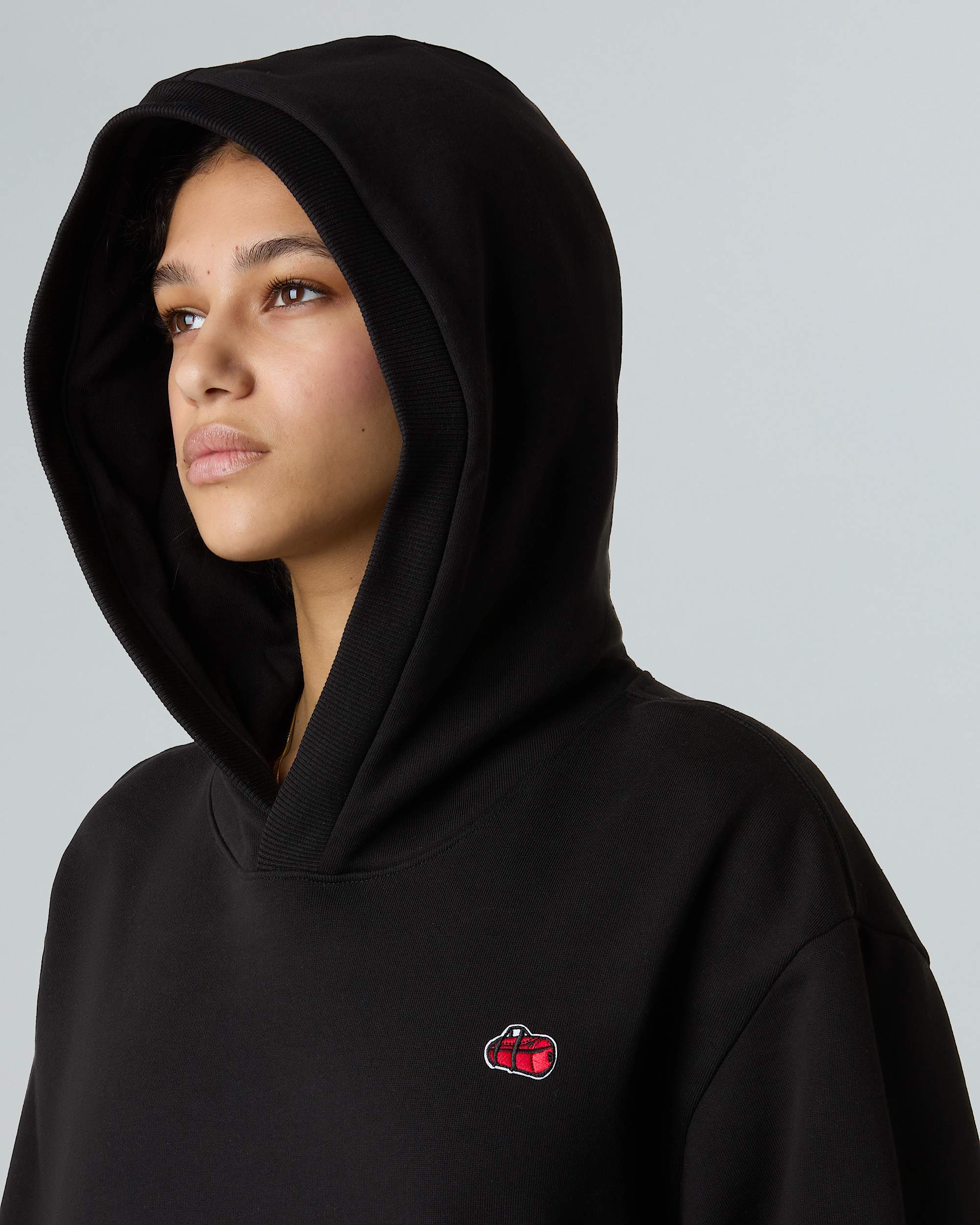 Icon relaxt geschnittener Kapuzenpulli in Unisex TNF alt11
