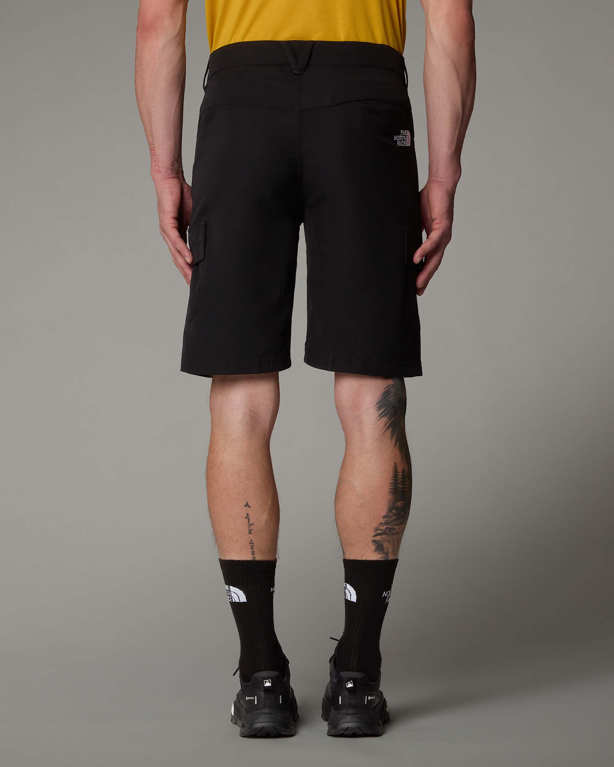 Horizonshort voor heren TNF alt7