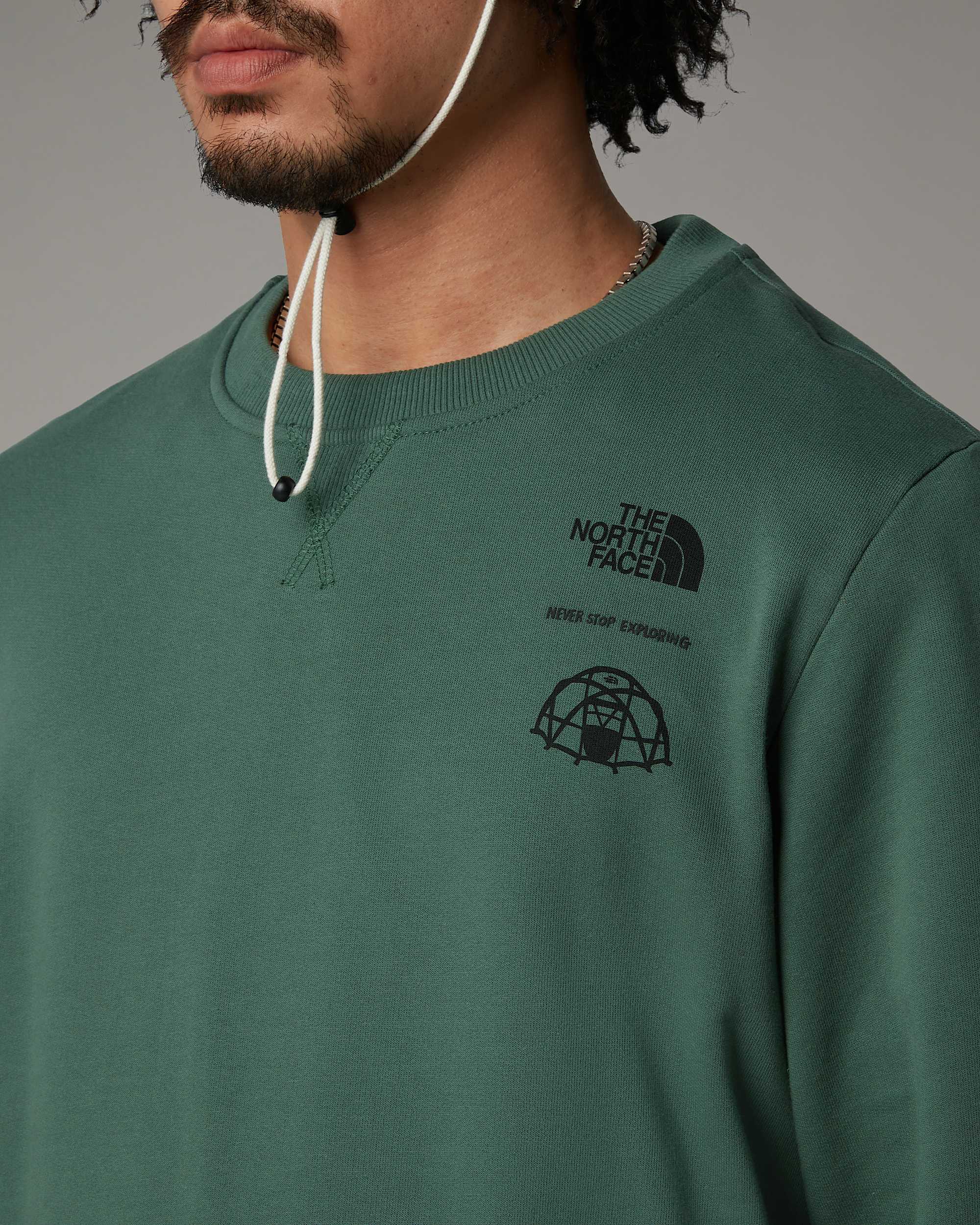 Mens Outdoor Graphic Sweatshirt TNF ALT7