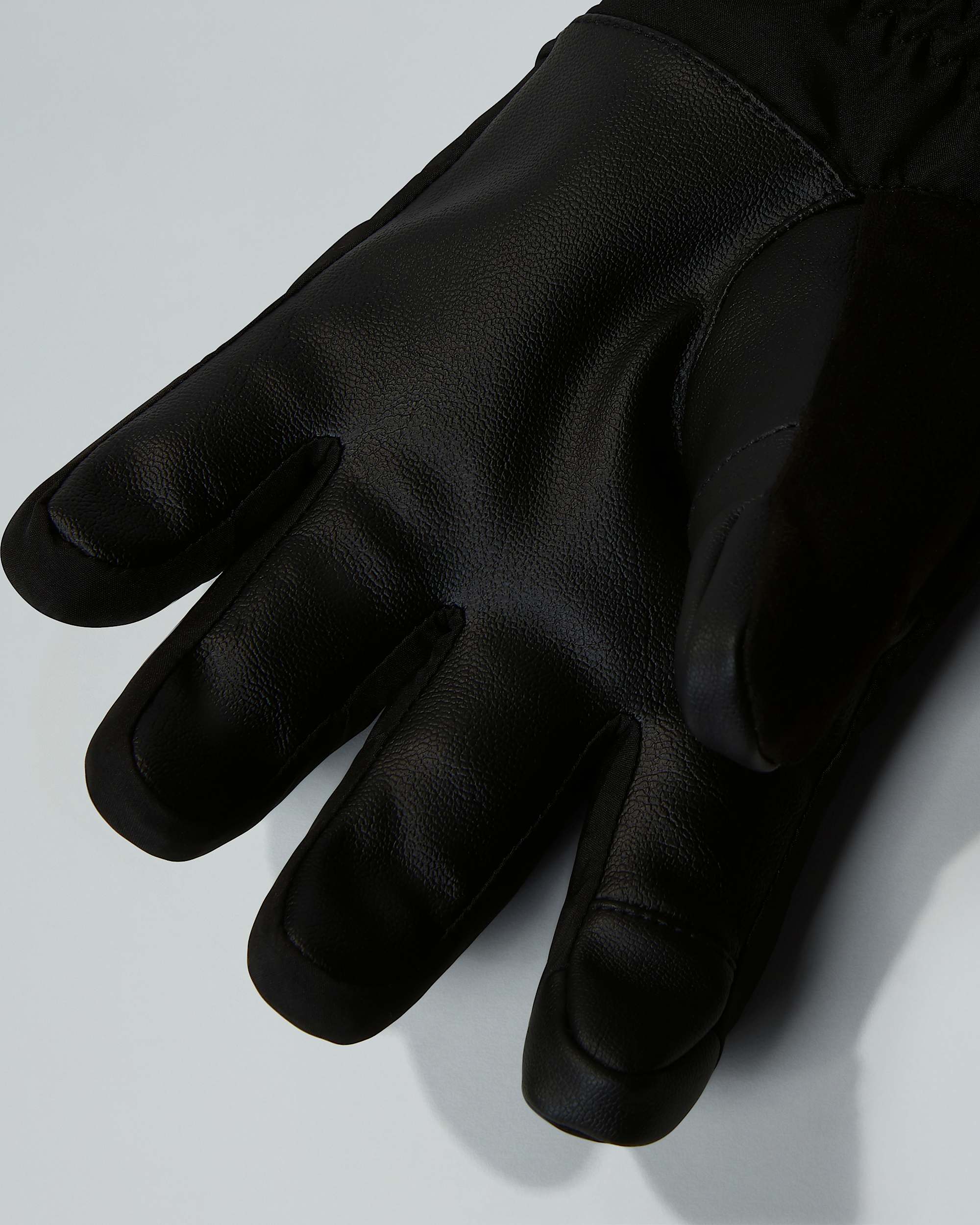 Womens Montana Ski Gloves TNF ALT2