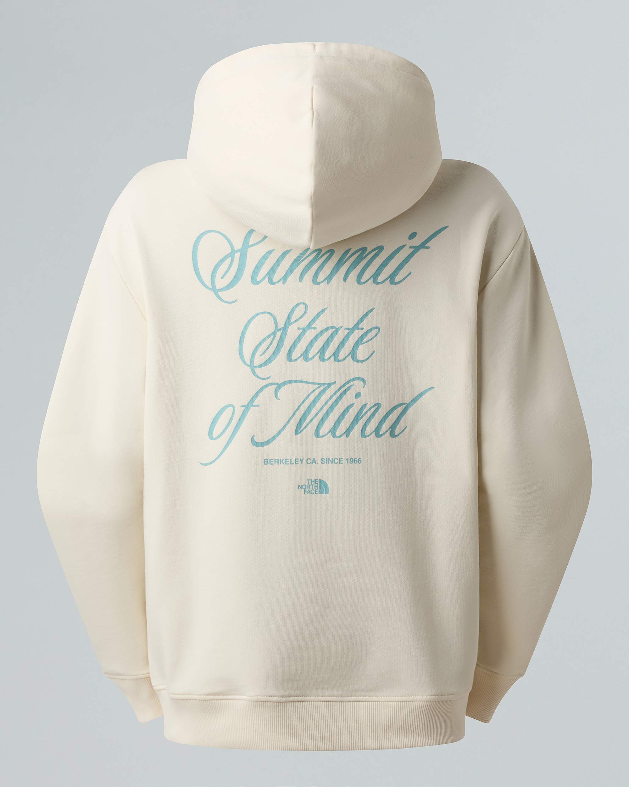 Womens Inspire Exploration Relaxed Hoodie TNF ALT21
