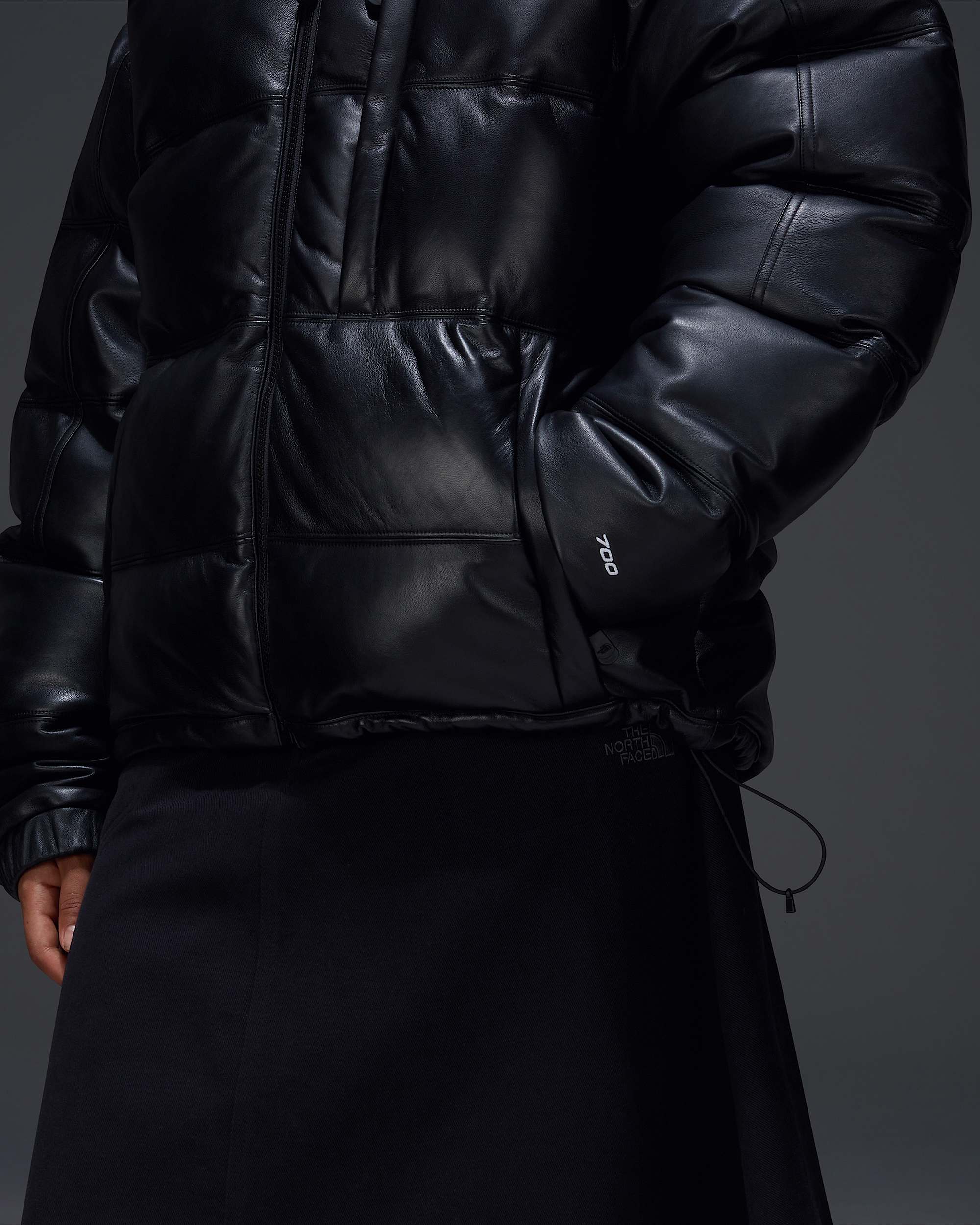 Chaqueta Summit Leather Pack TNF ALT12