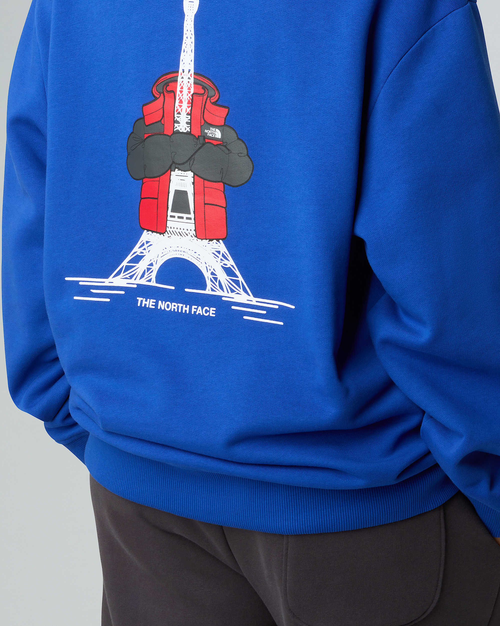 Relaxed Hoodie France unisex TNF ALT12