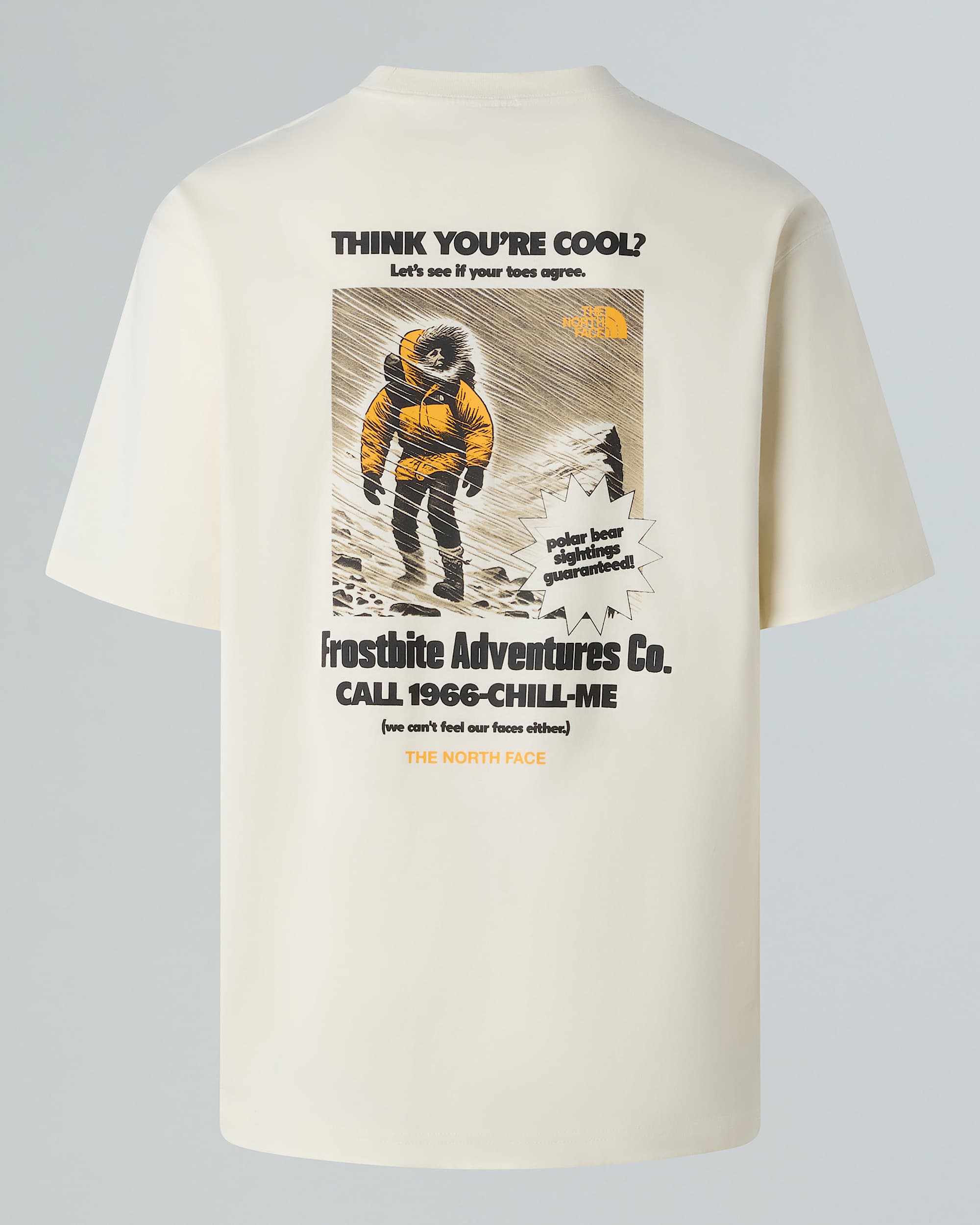 Mens Expedition Relaxed TShirt TNF ALT21