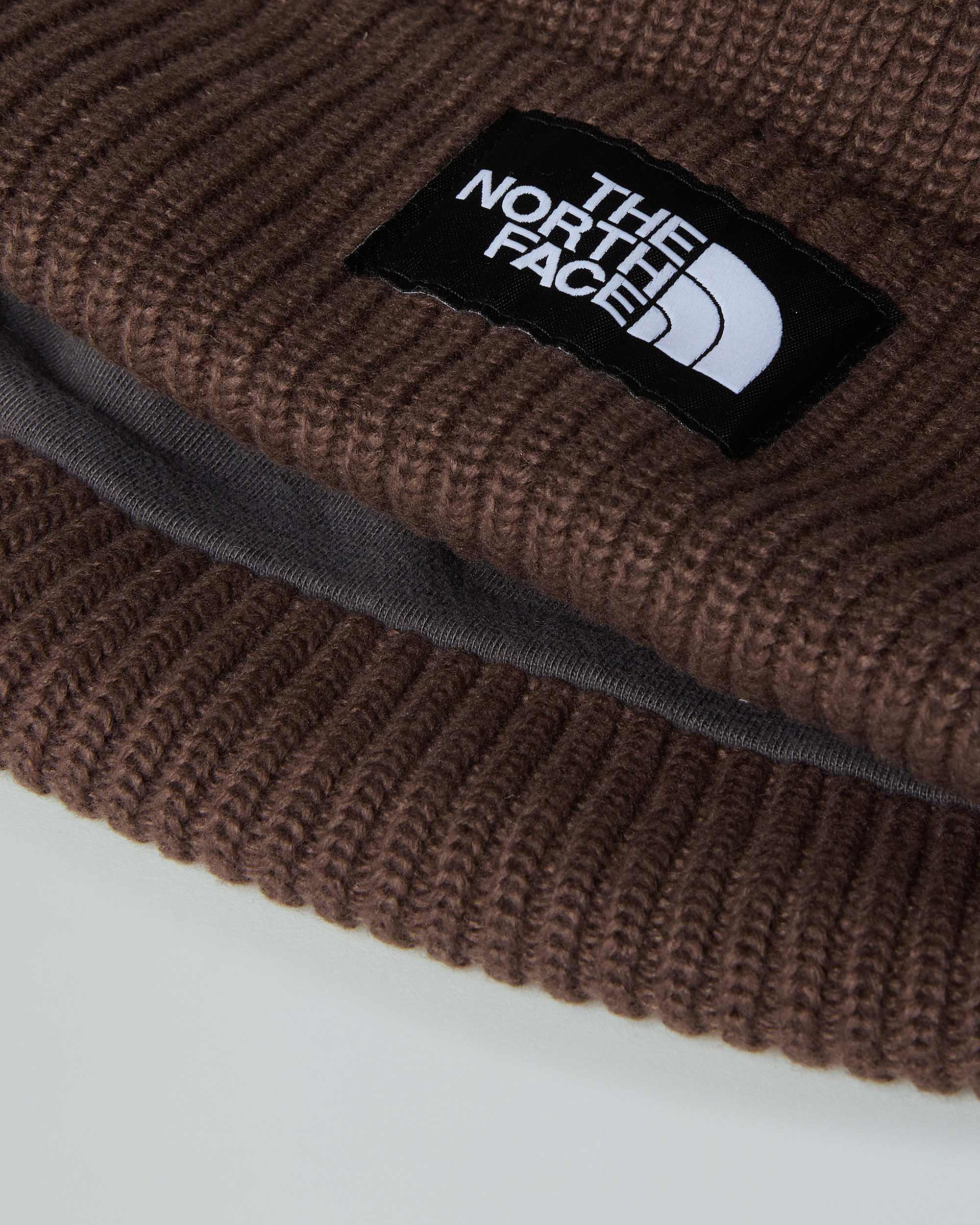 Salty Lined Beanie TNF ALT3