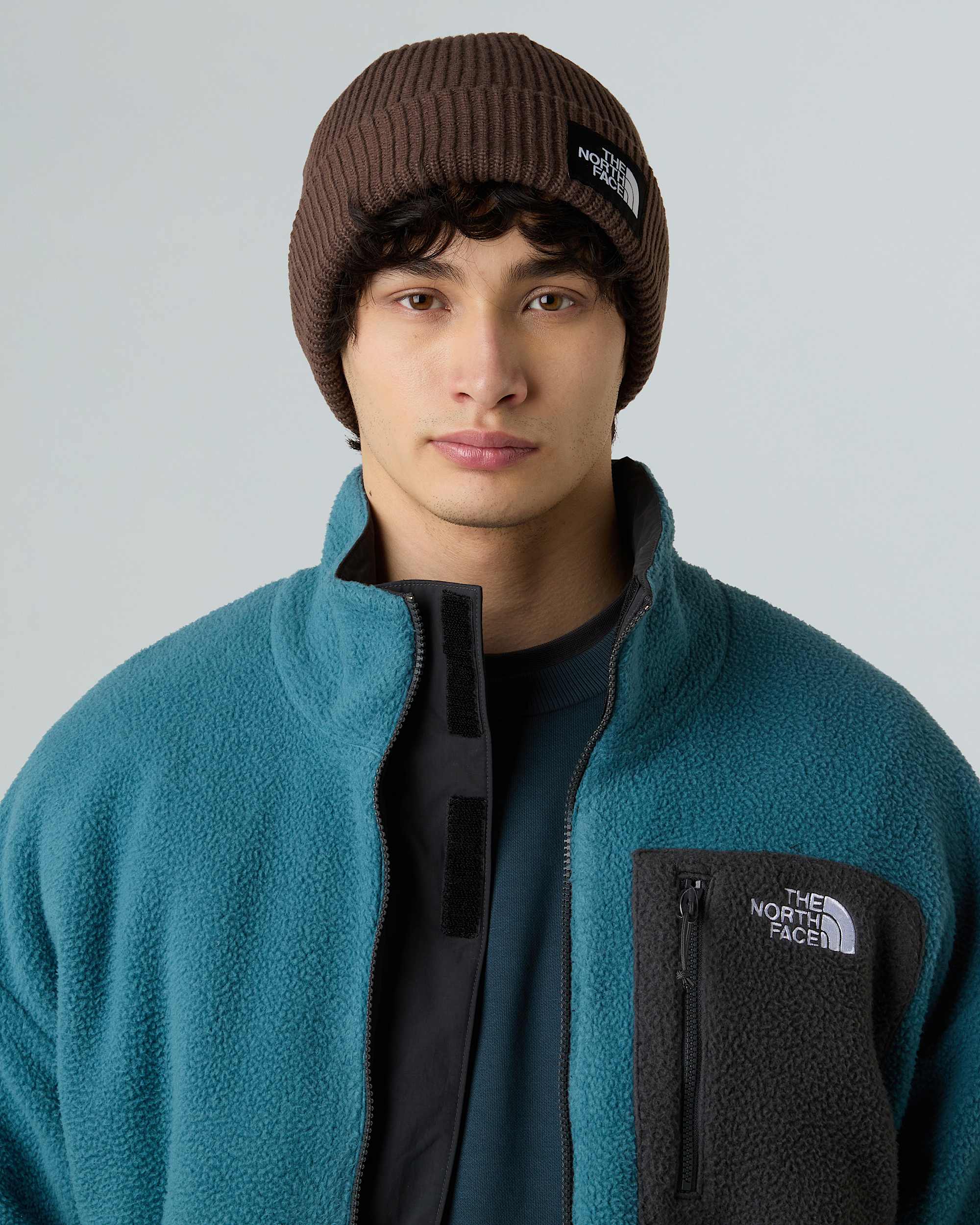 Salty Lined Beanie TNF ALT1