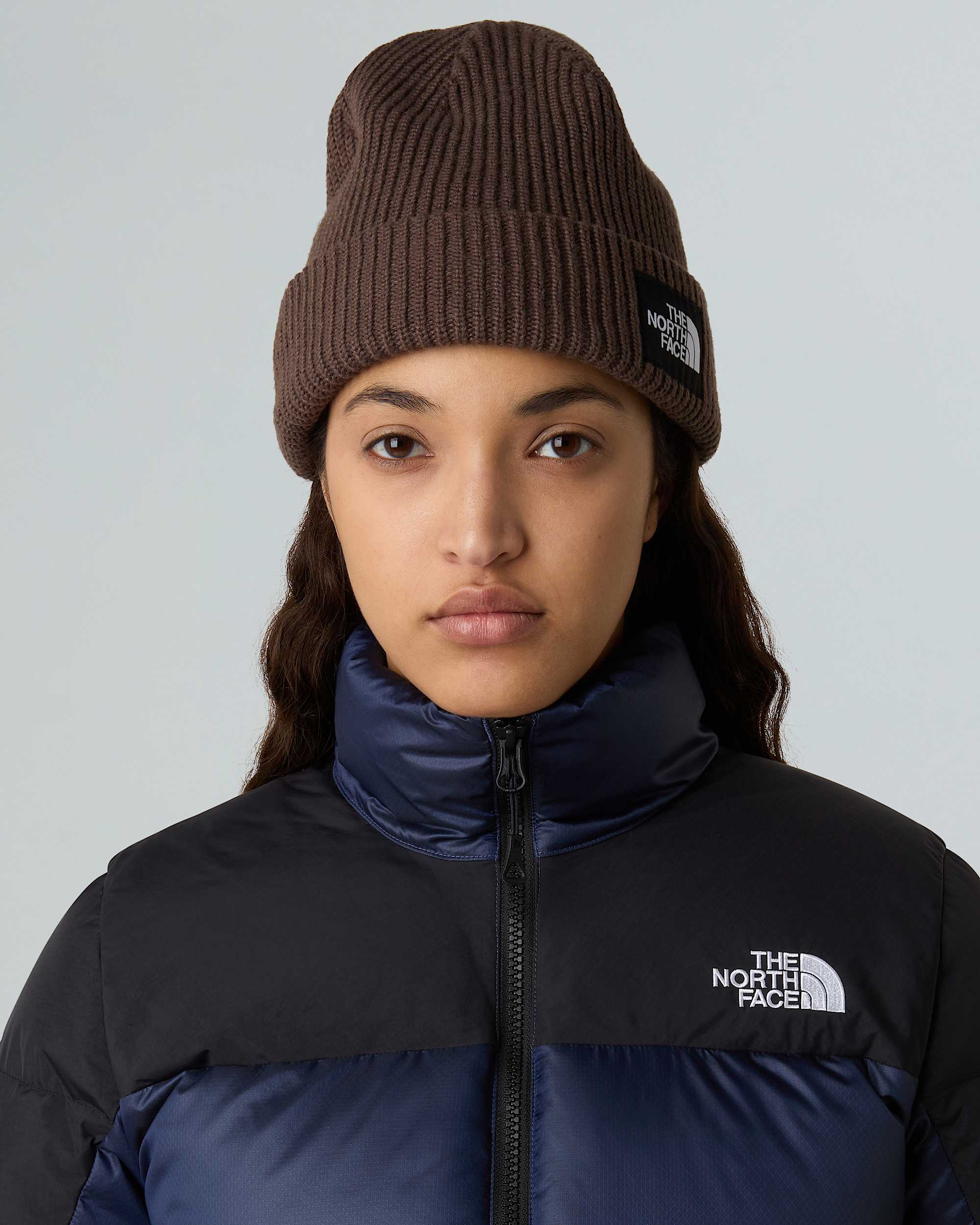 Salty Lined Beanie TNF ALT12