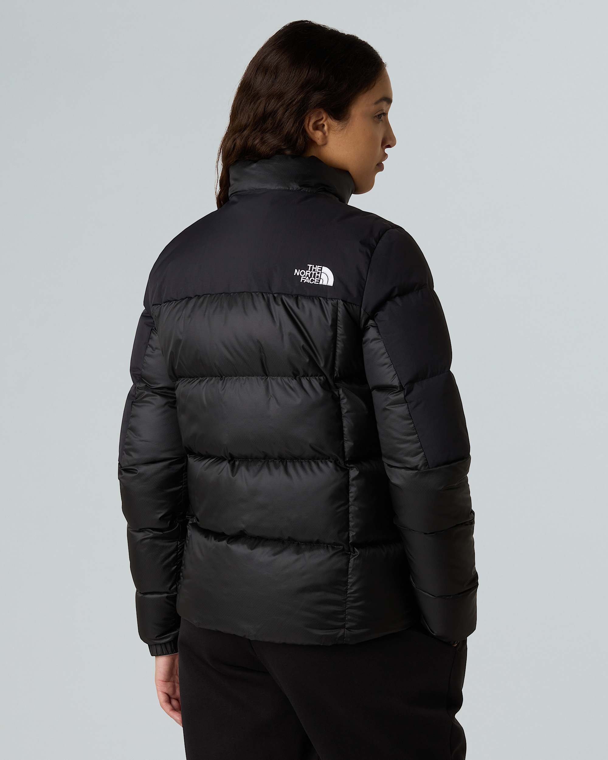 Womens Diablo Down 20 Jacket TNF ALT2