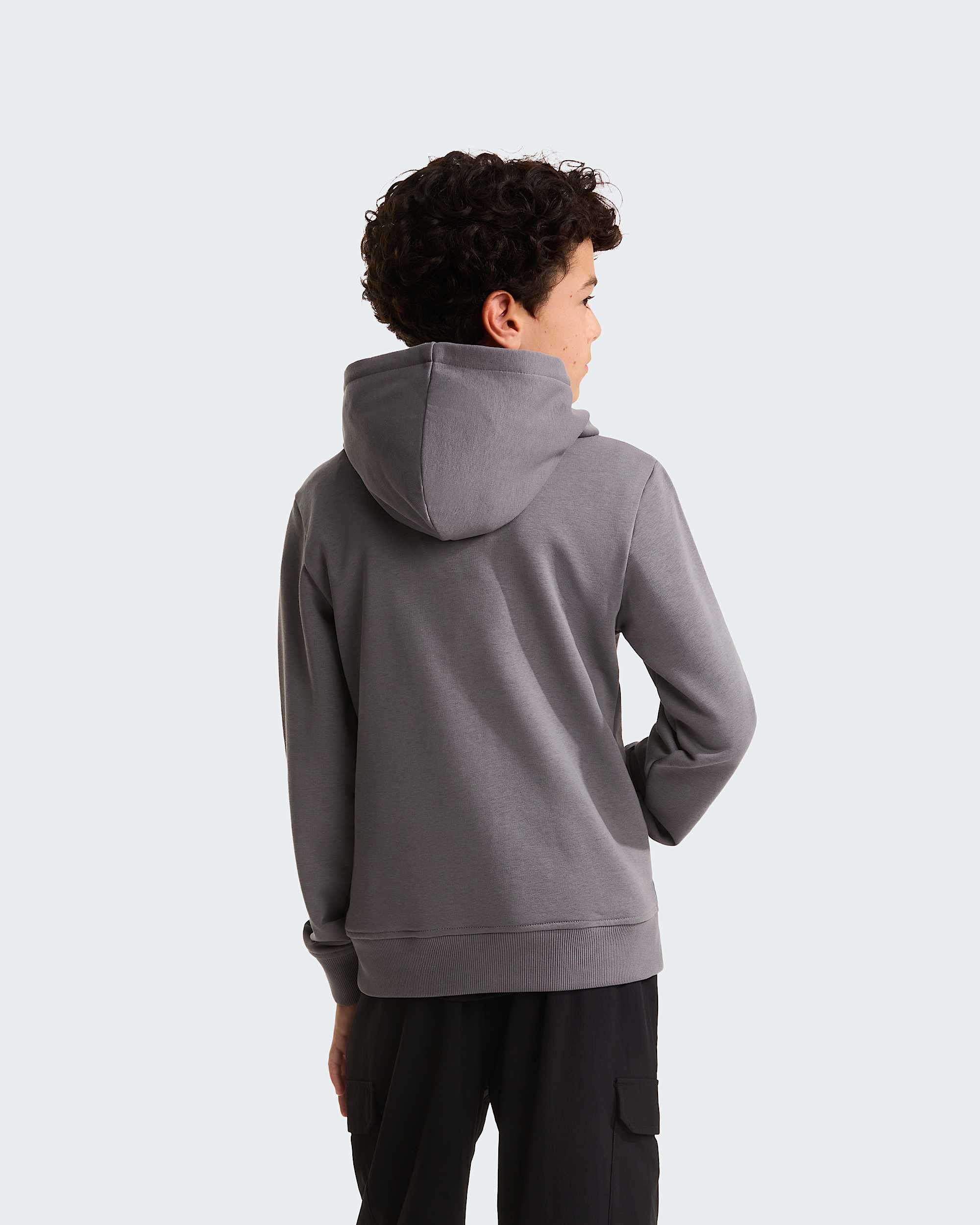 Boys Liquid Logo Regular Hoodie TNF ALT3