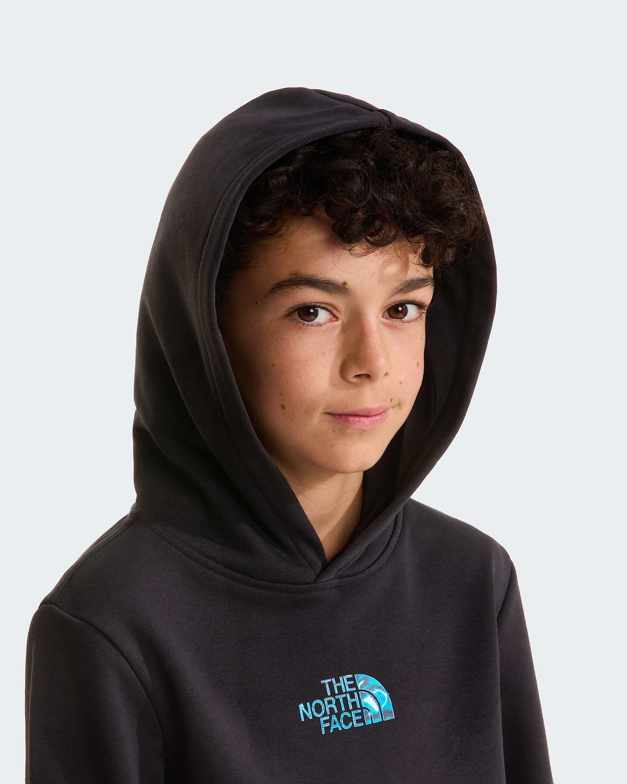 Sweat  capuche standard Liquid Logo pour garon TNF alt4