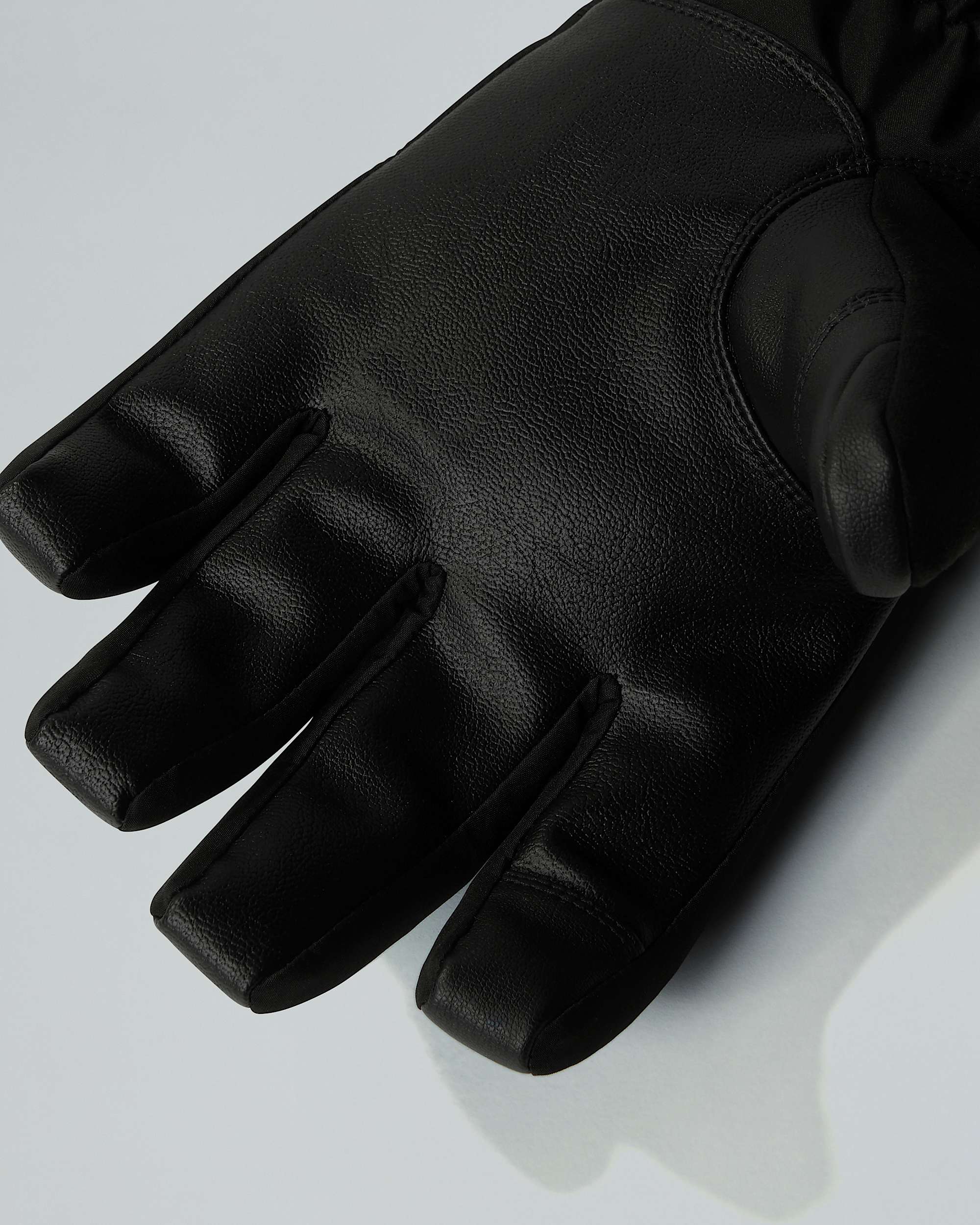 Mens Montana Ski Gloves TNF ALT2