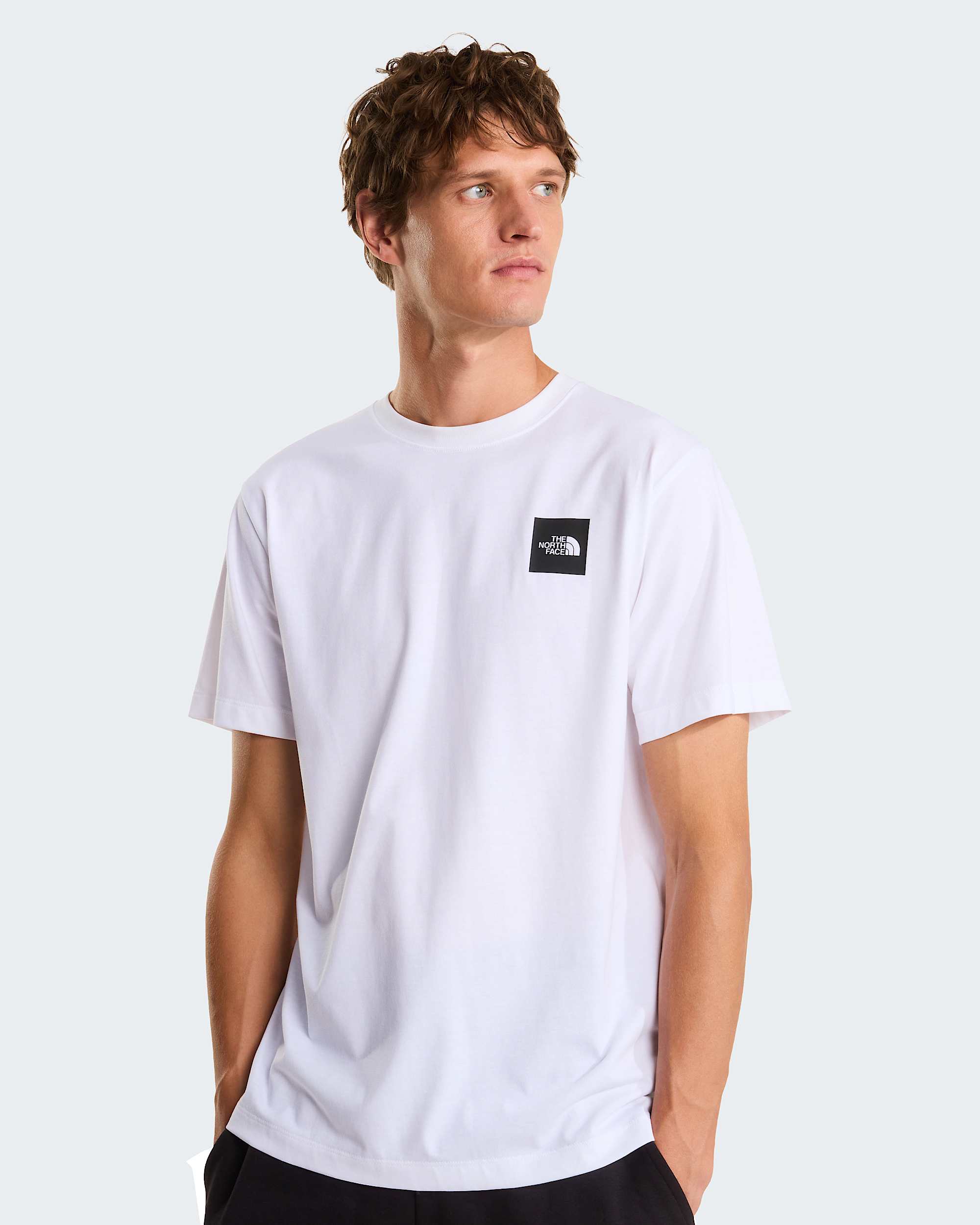 Tshirt standard Box Half Dome Evolution pour homme TNF hero