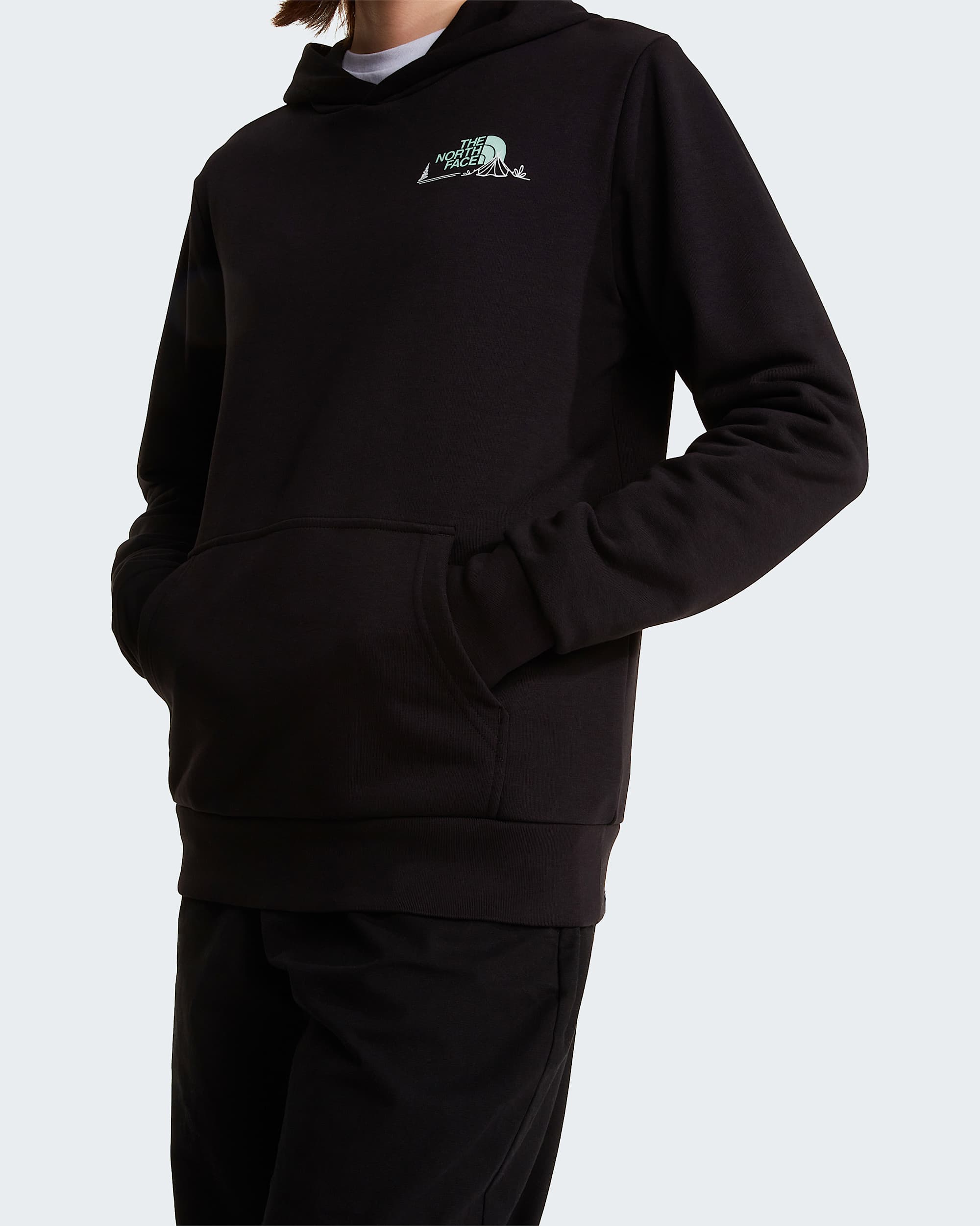 Womens Monte Regular Graphic Hoodie TNF ALT5