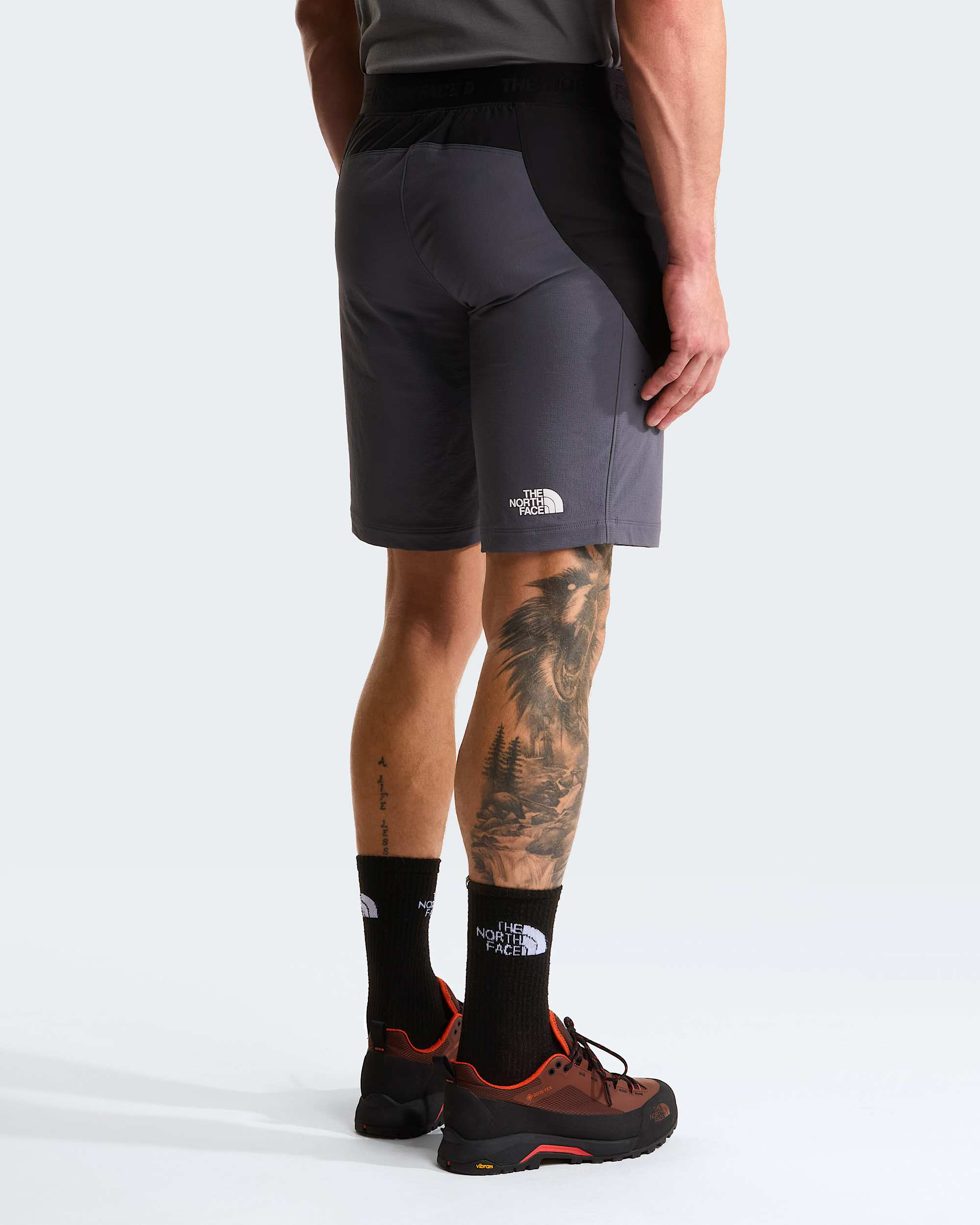 Short Circadian Alpine pour homme TNF ALT3