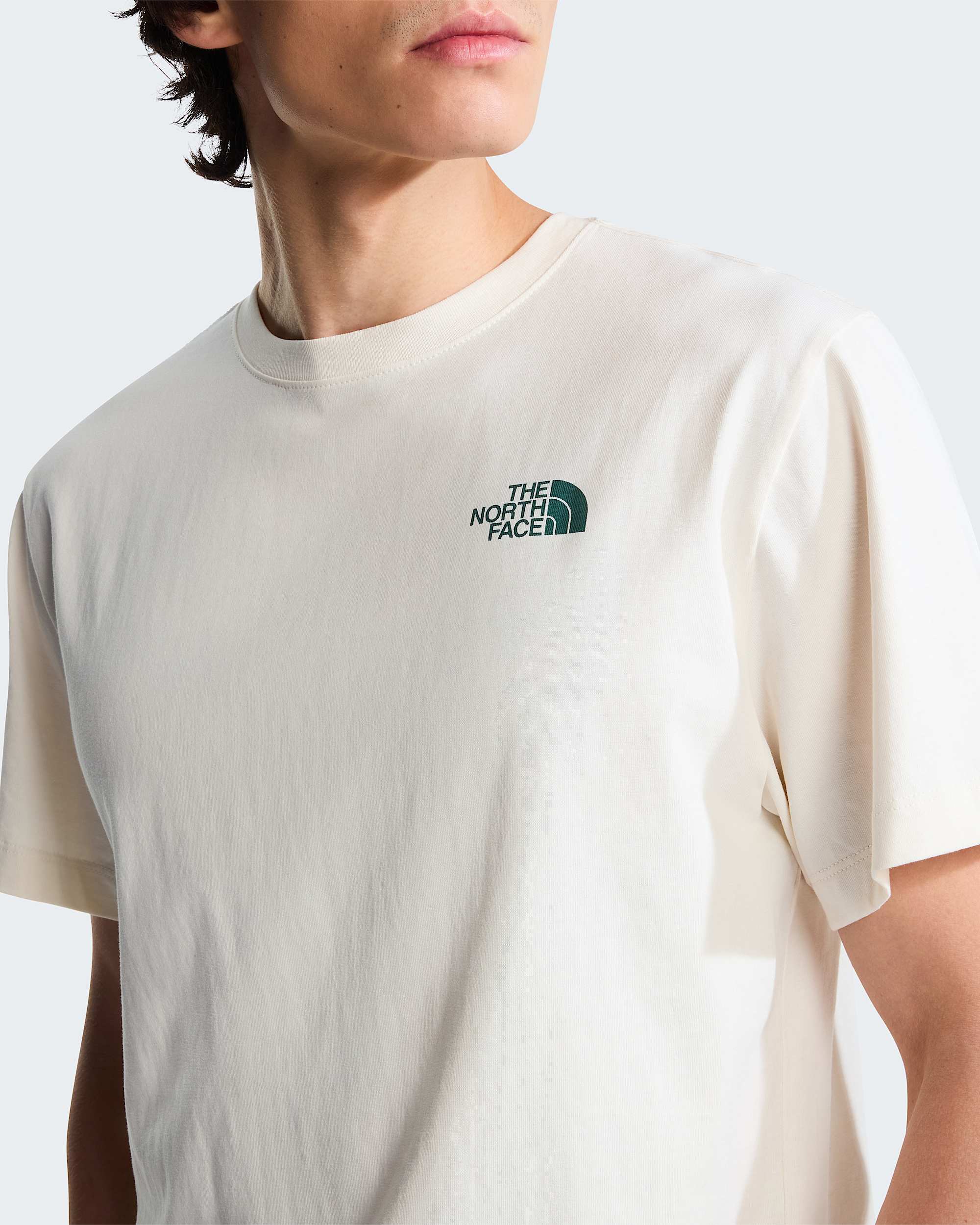 Retro Earth Relaxed Graphic Tshirt voor heren TNF ALT4