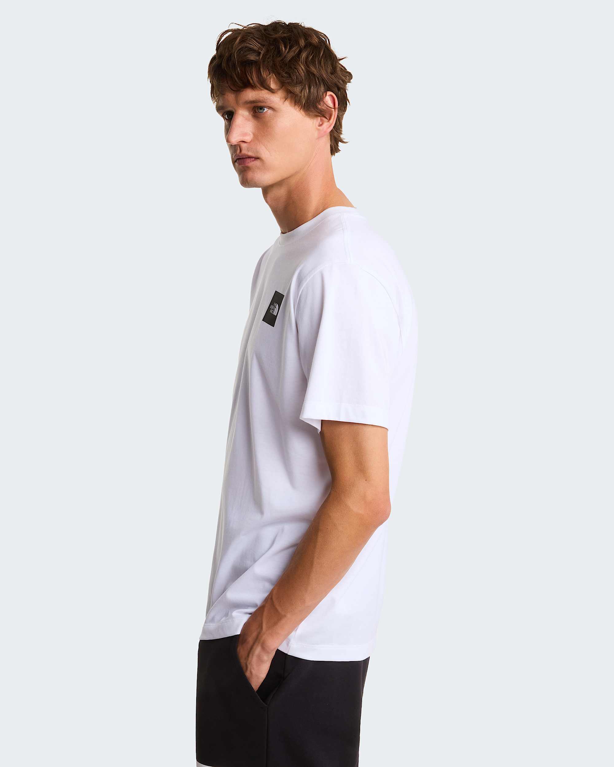 Tshirt standard Box Half Dome Evolution pour homme TNF alt2