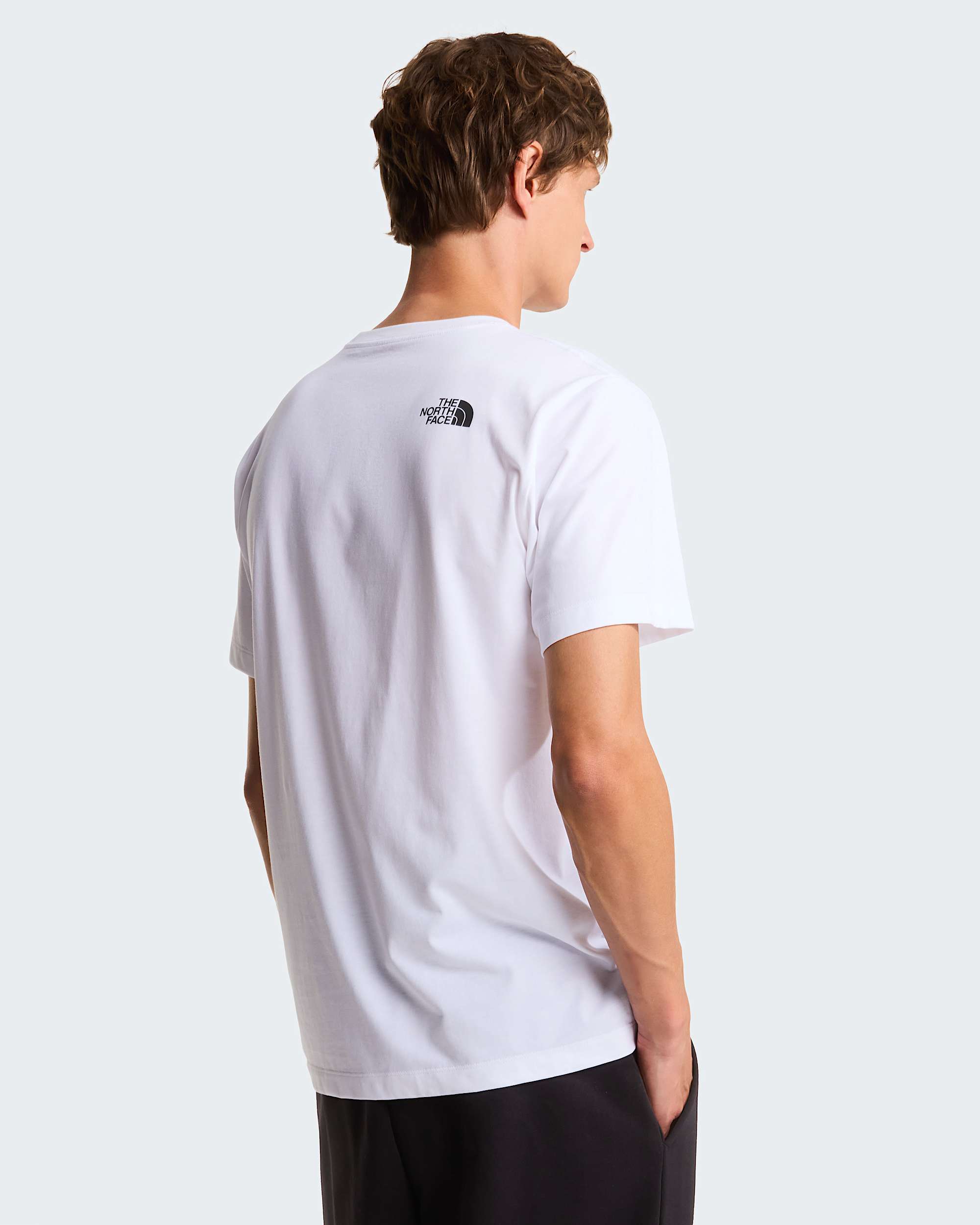Tshirt standard Box Half Dome Evolution pour homme TNF alt3
