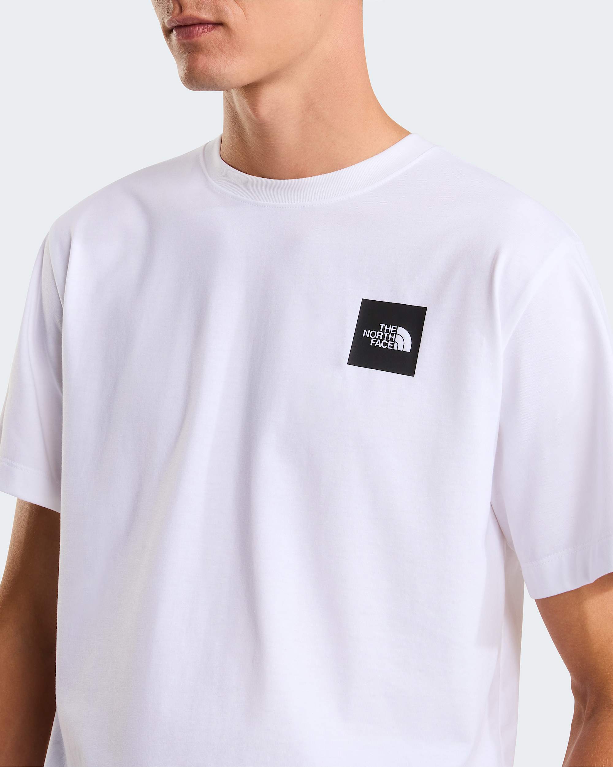 Tshirt standard Box Half Dome Evolution pour homme TNF alt4