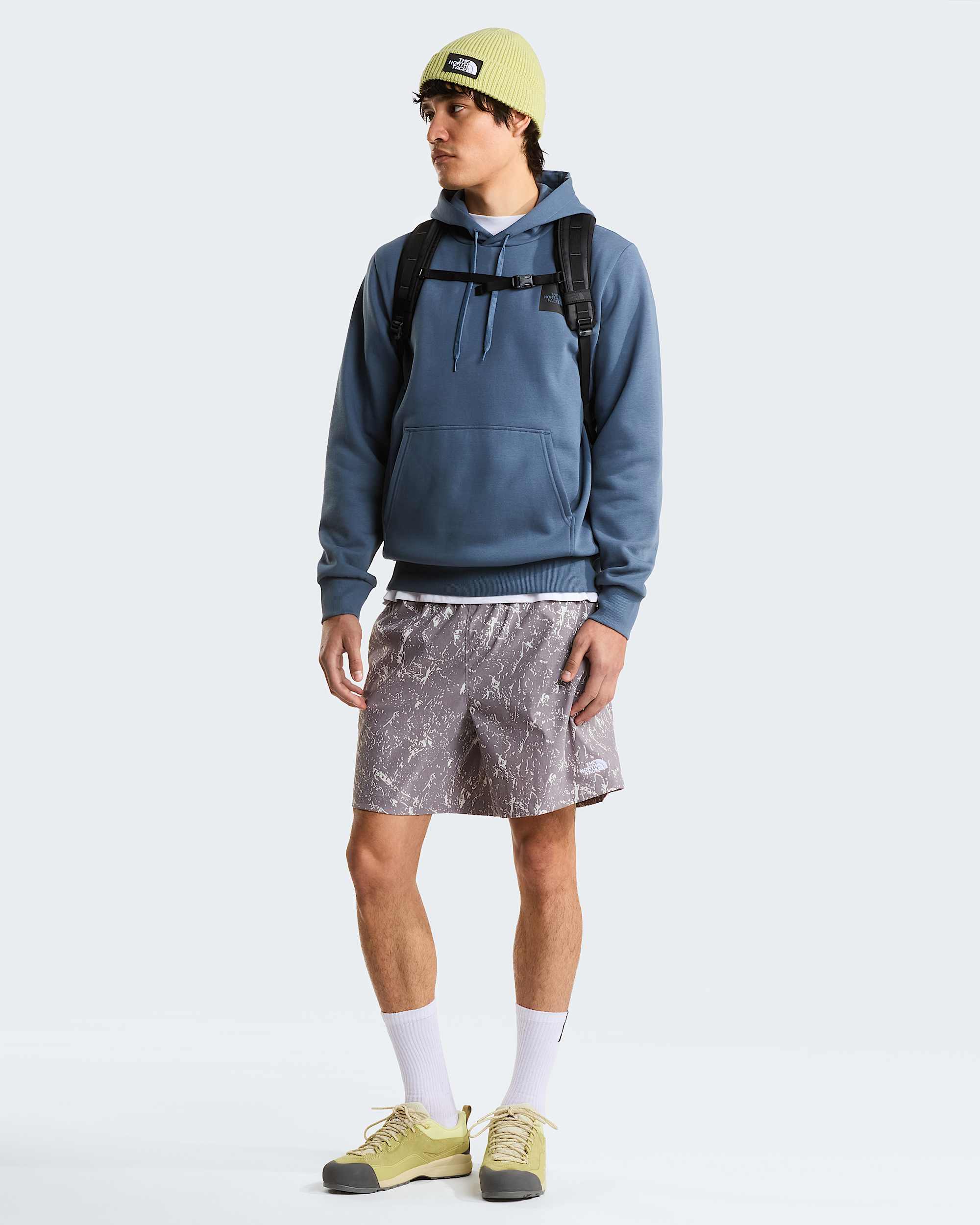 Mens Evolution Box Half Dome Regular Hoodie TNF ALT1