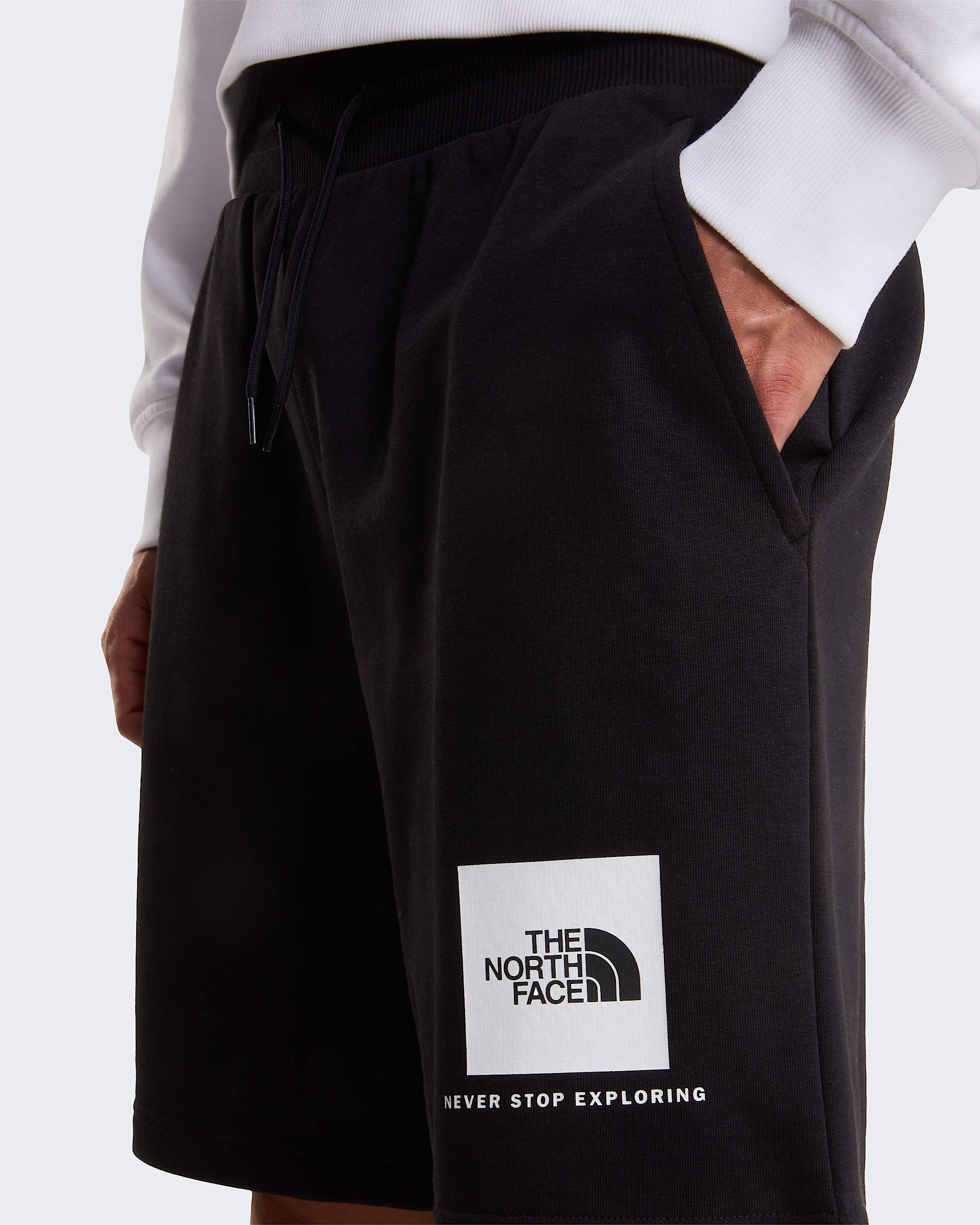 Mens NSE Box Light Regular Shorts TNF ALT4