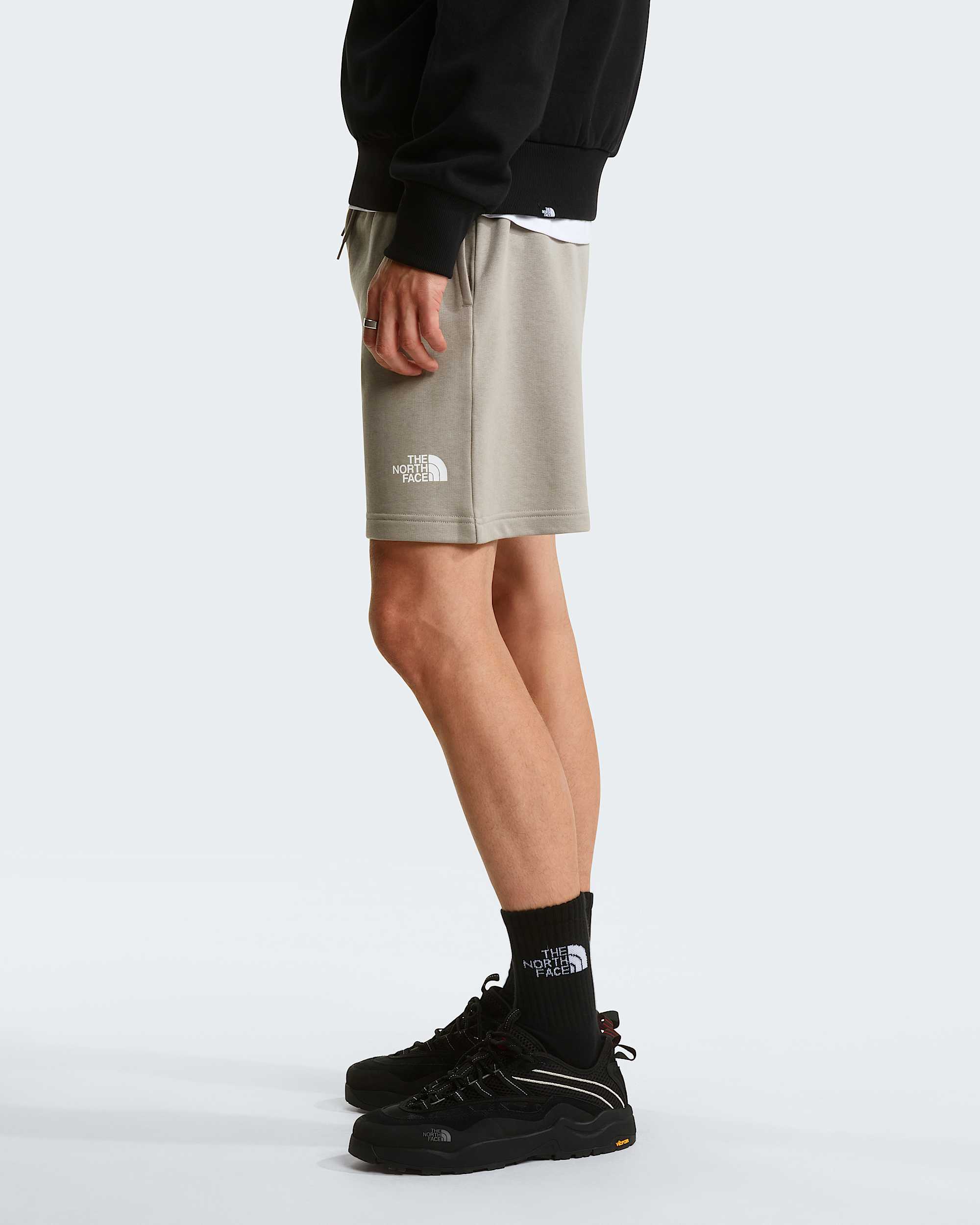 Mens Simple Dome Light Regular Shorts TNF ALT2
