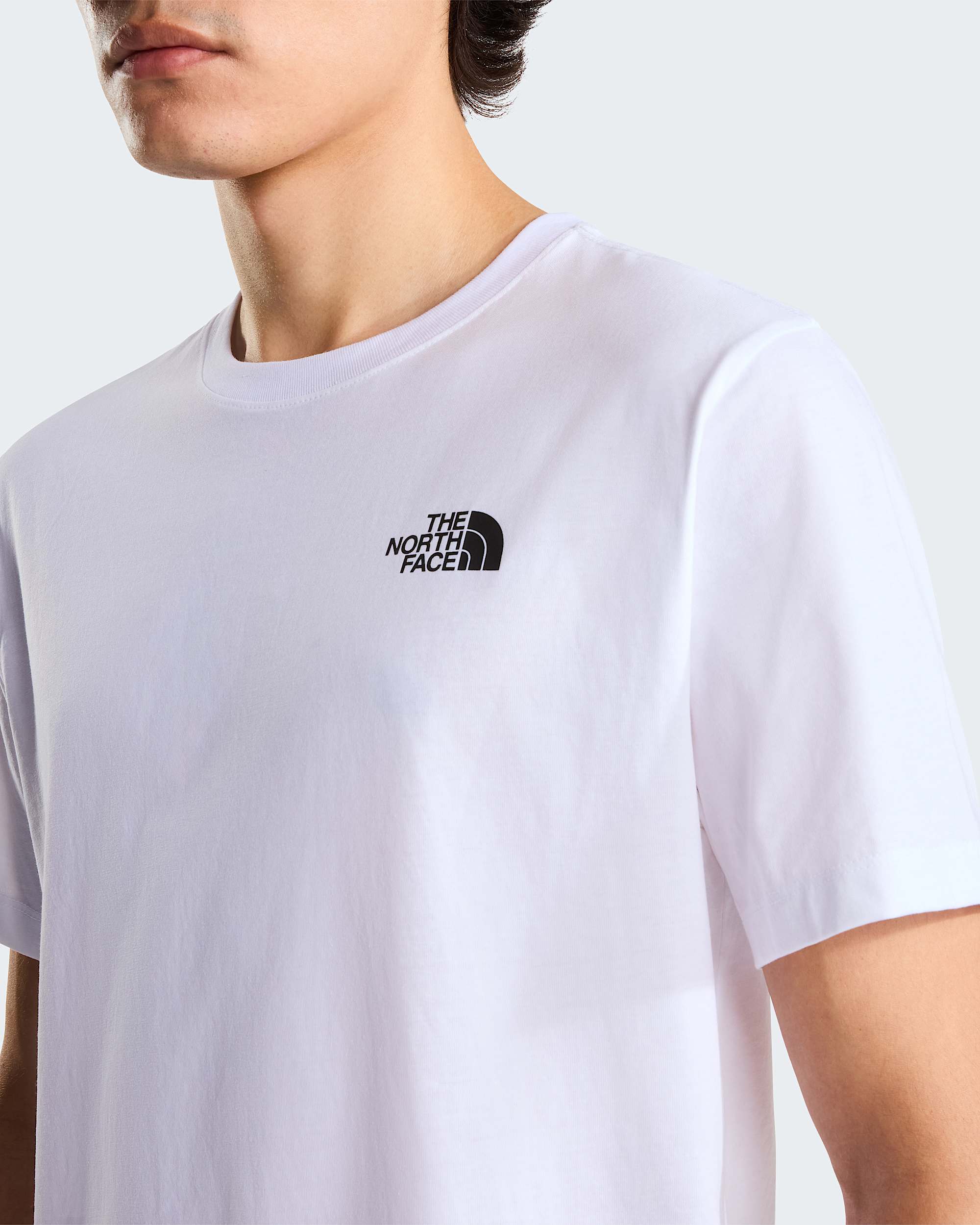 Camiseta recta NSE Box Evolution para hombre TNF alt4
